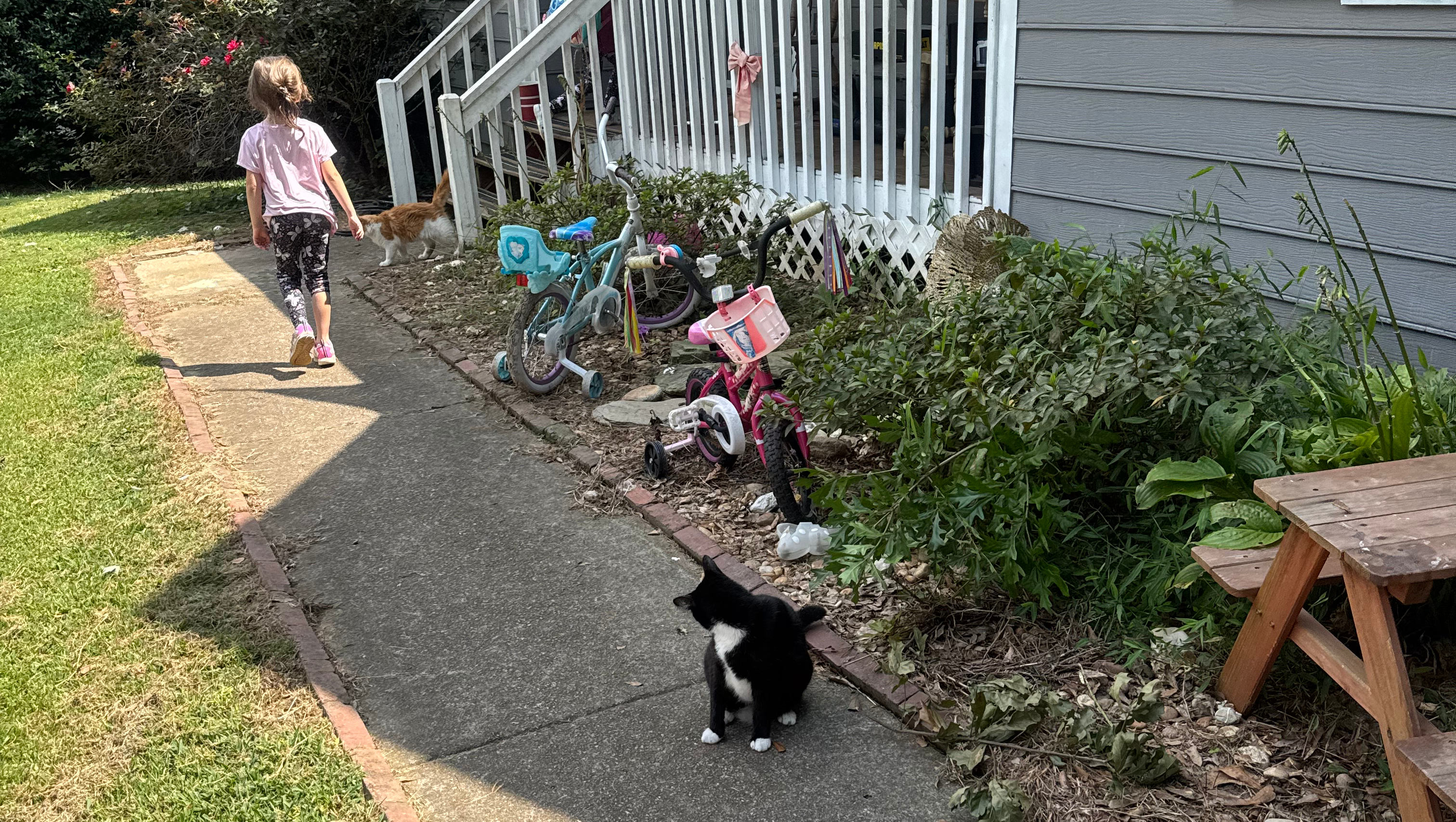 Me&my2lilssurvivednfled15statestheir sept bdays 13&17 photo