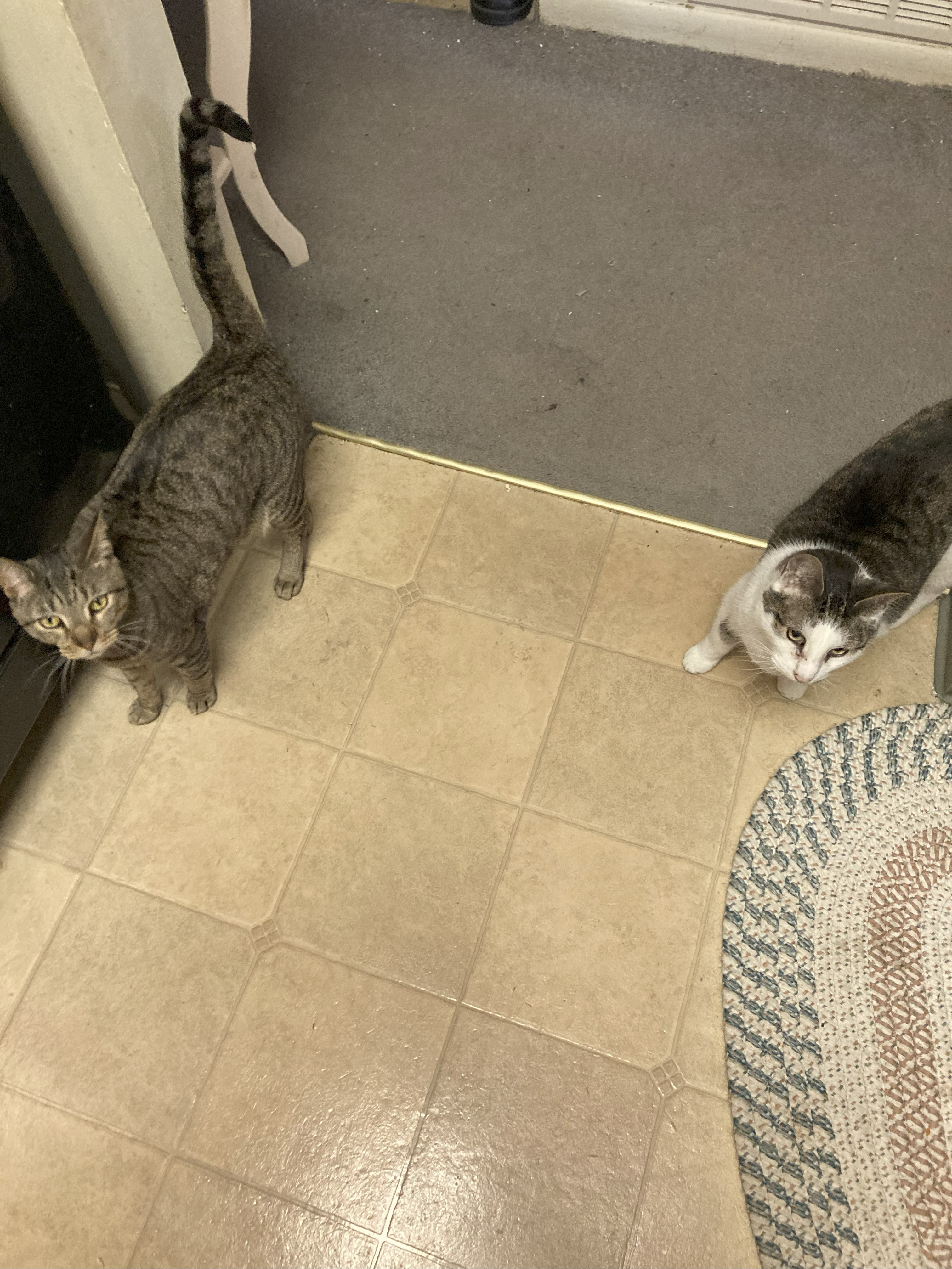 User-uploaded image 1