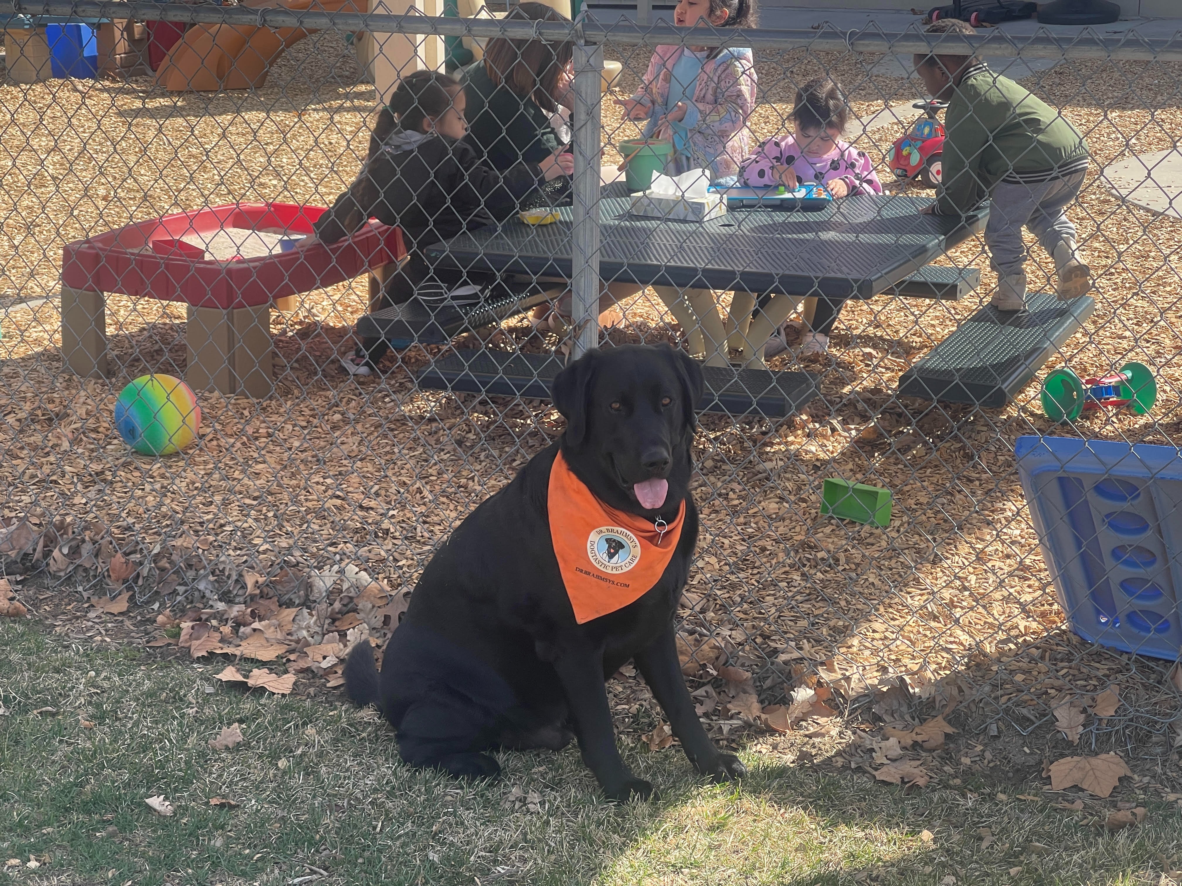 Help Brian & Brahms Rebuild After Sudden Loss campaign photo, 2 of 4