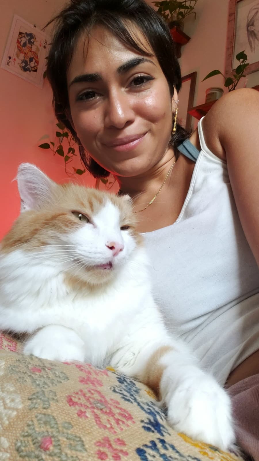 Medical Support Needed for My Cat's Surgery campaign photo, 4 of 6
