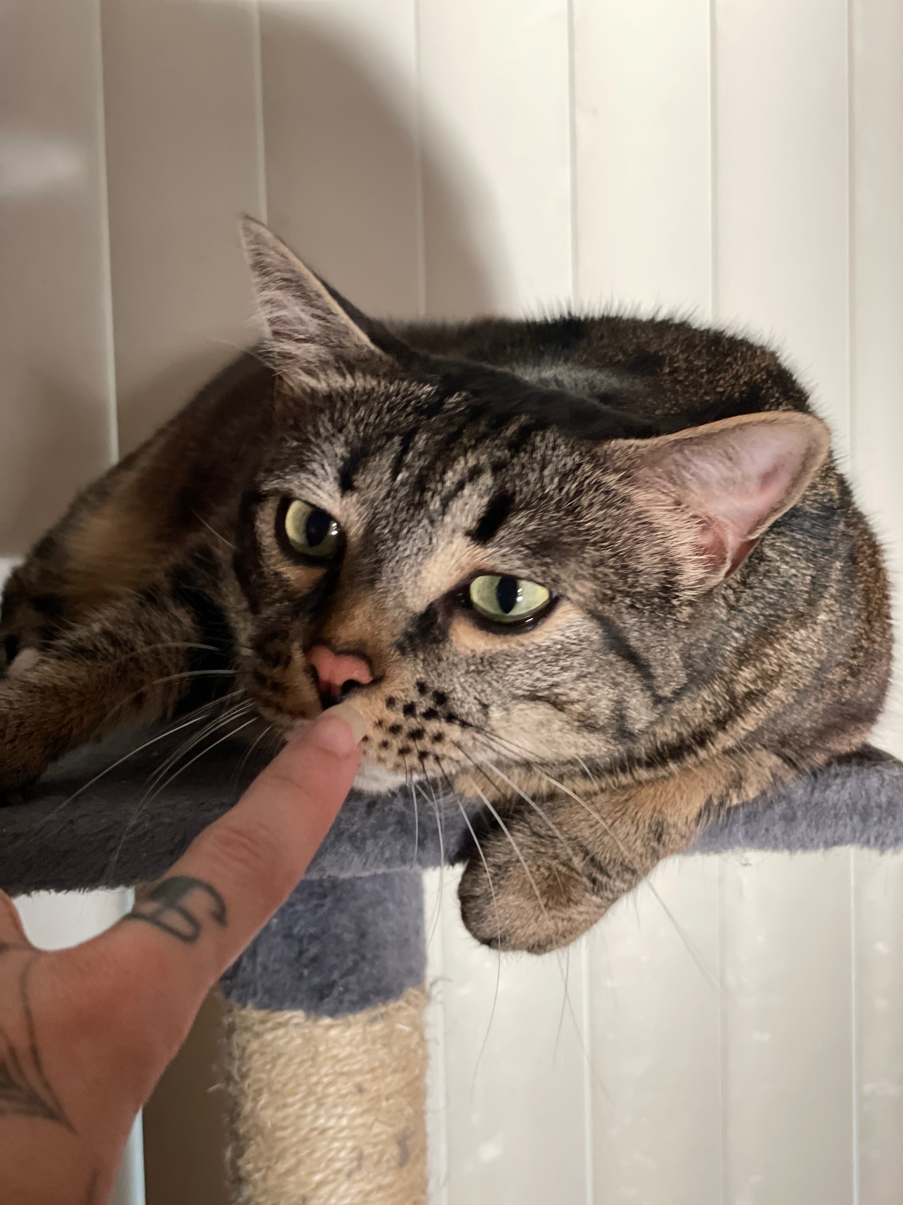 Jupiter’s Emergency Surgery campaign photo, 5 of 8