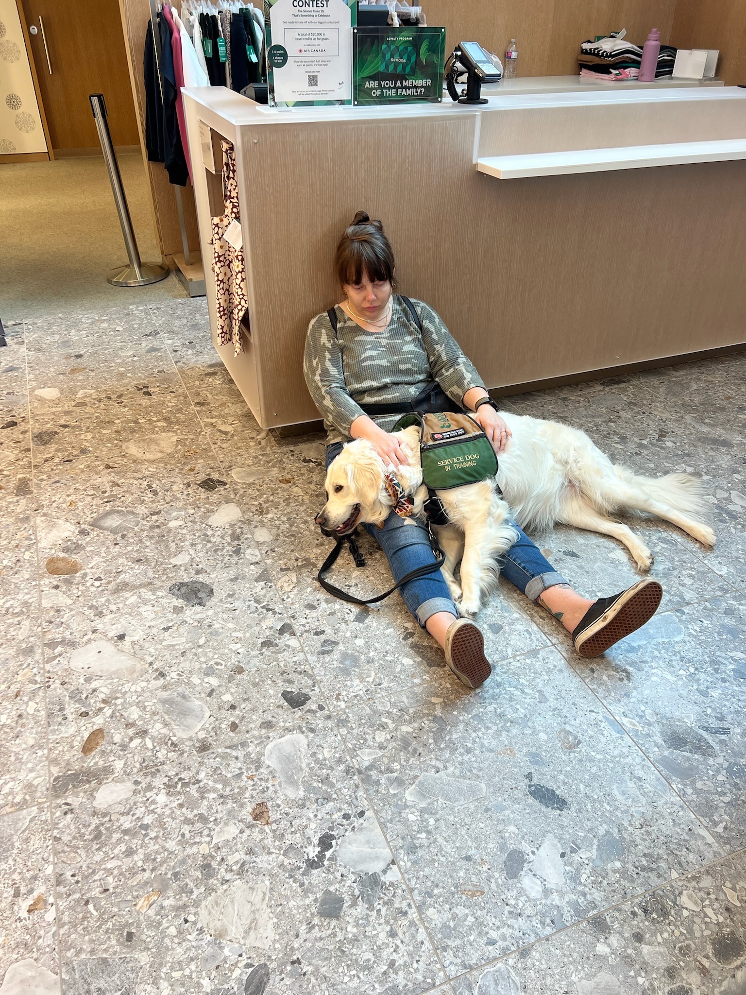 Fund Jolie’s Training - A lifelong gift for Noah campaign photo, 2 of 8
