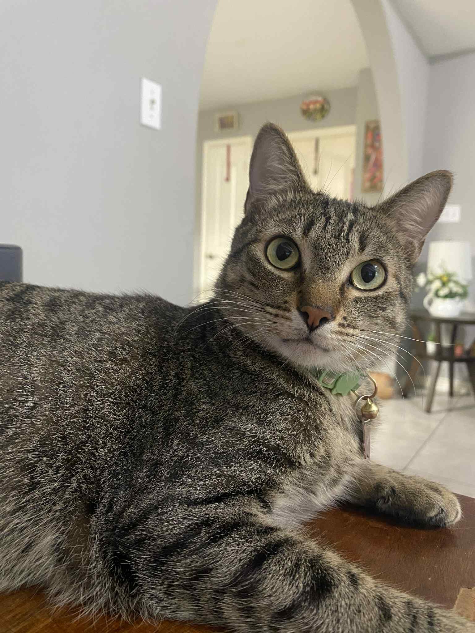 User-uploaded image 1