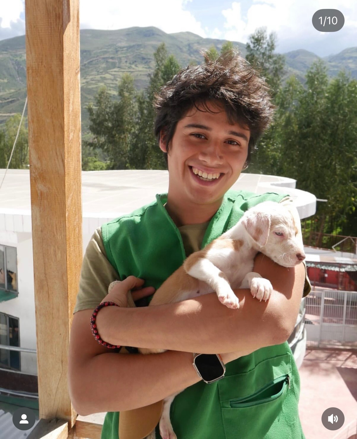 Support an incredible dog shelter with medical & food bills campaign photo, 2 of 8