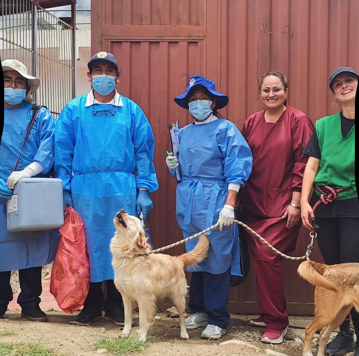 Support an incredible dog shelter with medical & food bills campaign photo, 4 of 8