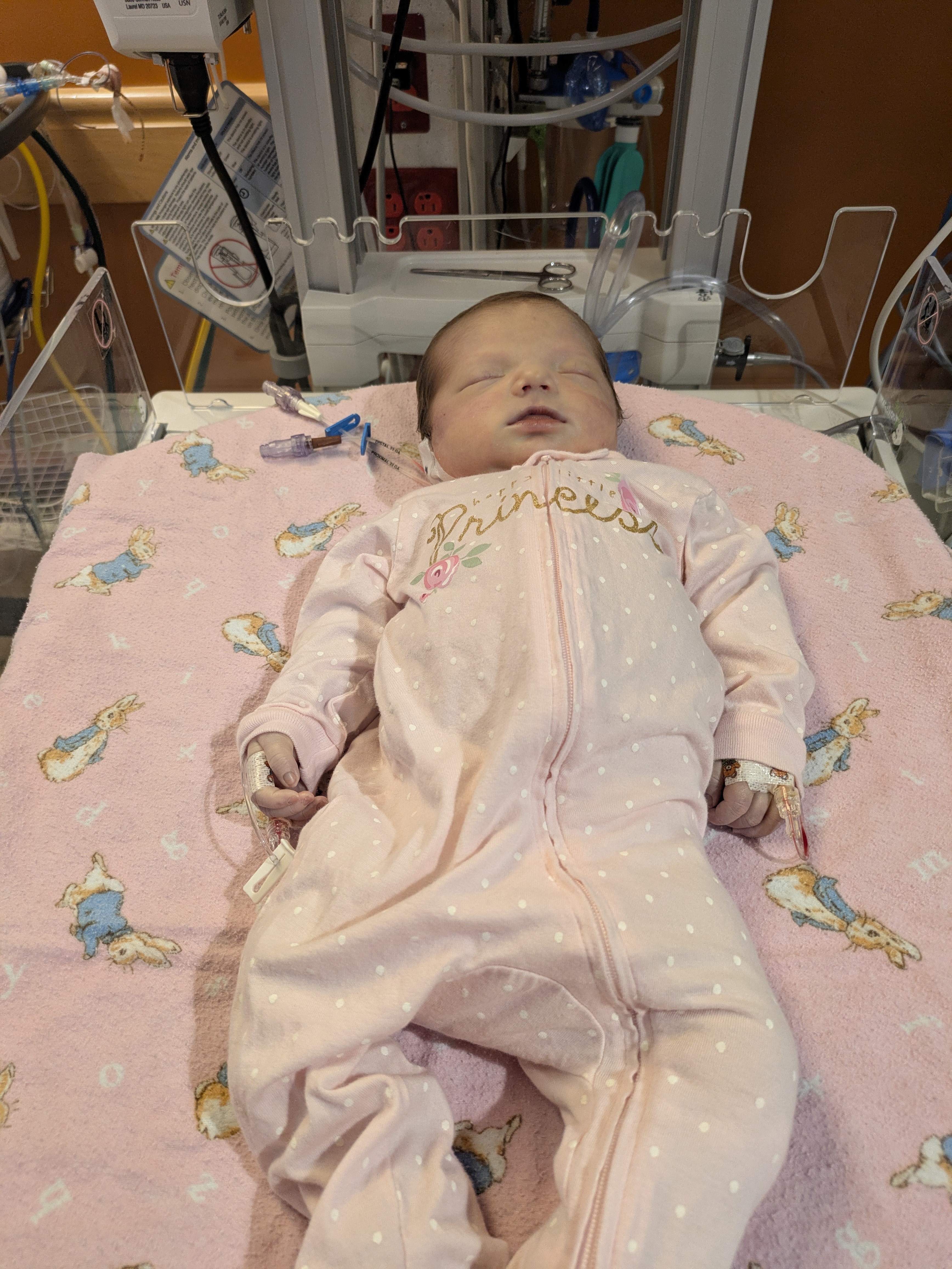 Help Us Cremate Baby Kaylynn and bring her home campaign photo, 6 of 8
