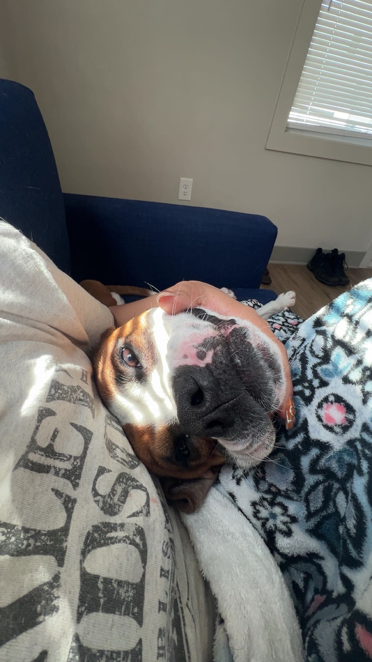 Help Me & My Dog Through a Tough Month campaign photo, 5 of 6