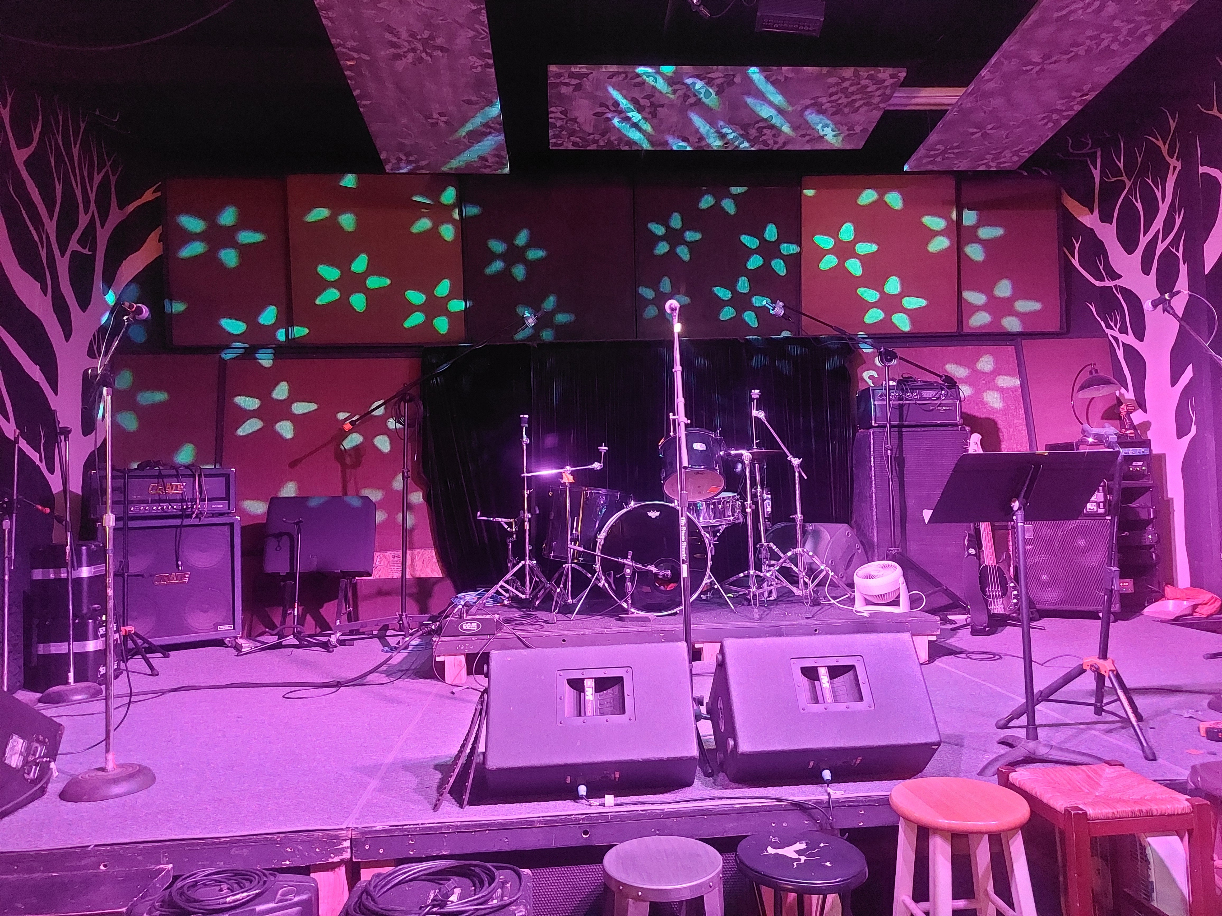 Help Todd Brown Keep Music Alive in Charleston campaign photo, 2 of 8