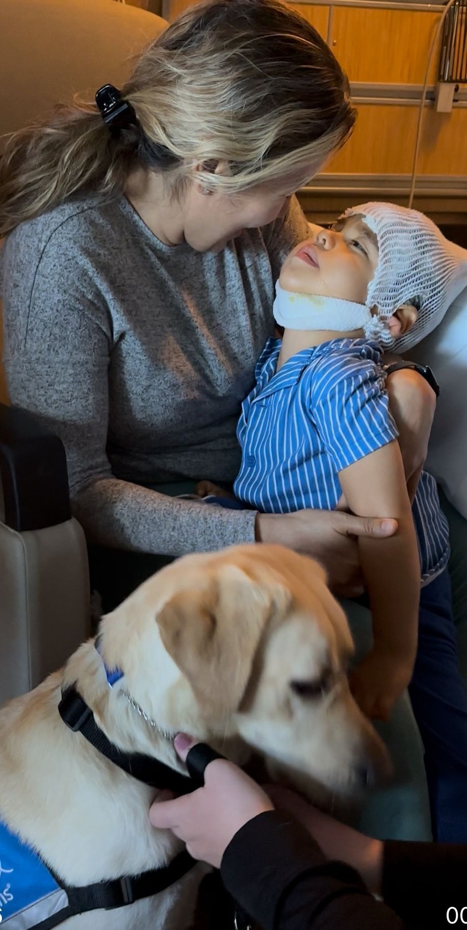 Help Brave 4-Year-Old Jack Get Urgent Life-Saving Treatment campaign photo, 5 of 7