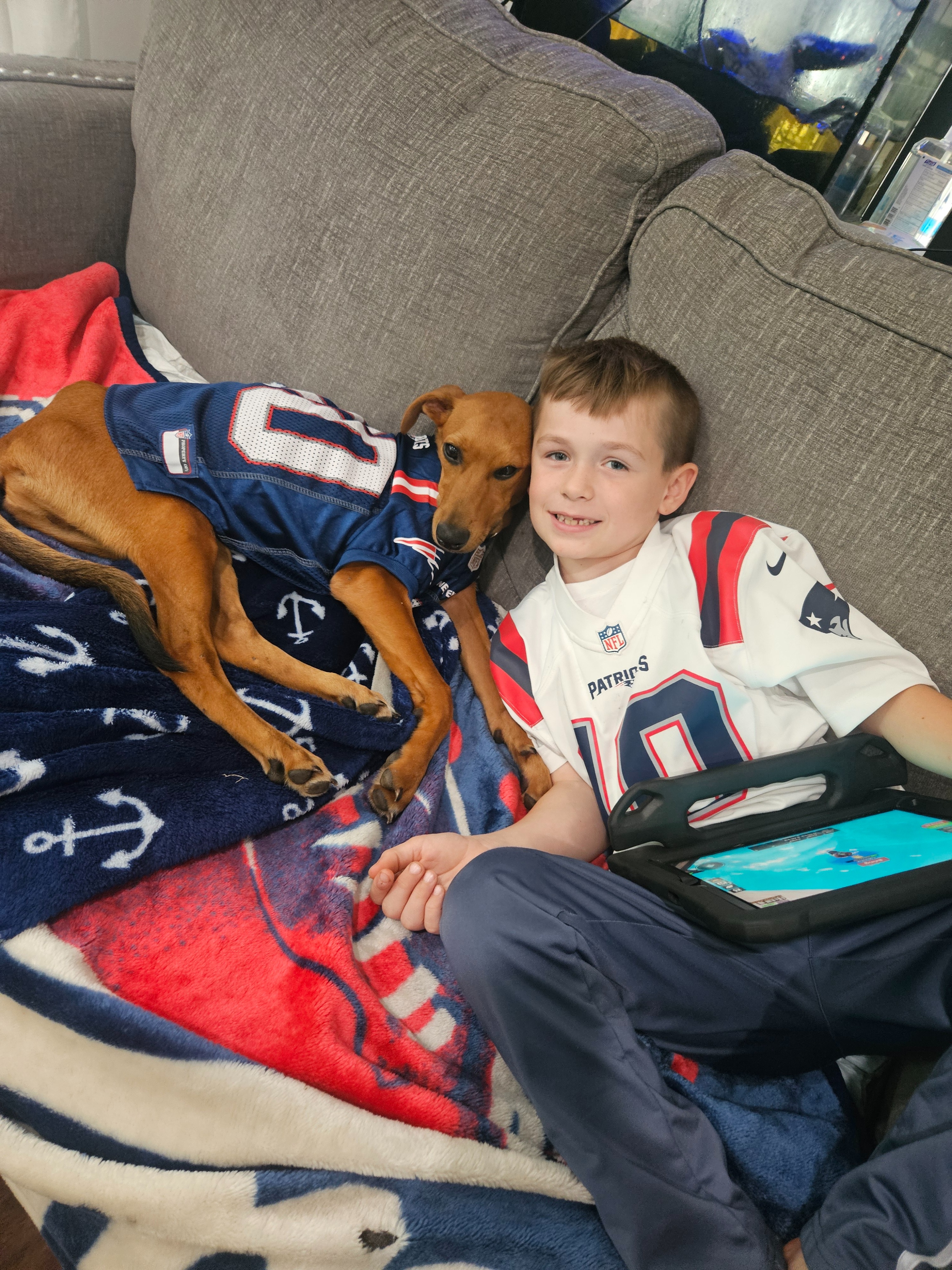 Save Neely: A Loving Pup in Urgent Need campaign photo, 2 of 4