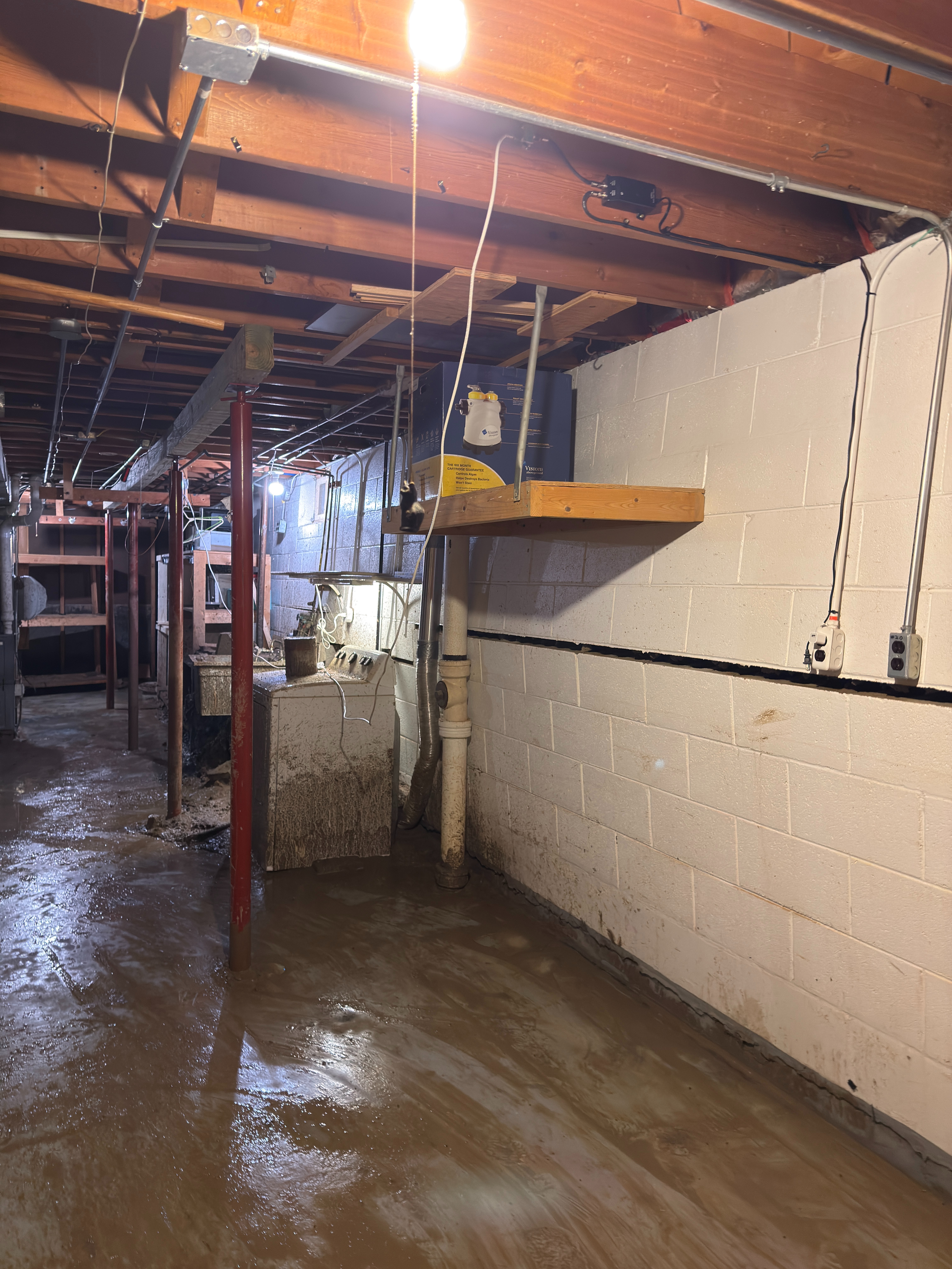 Help Phaedra and Holly in Flood Recovery campaign photo, 5 of 8