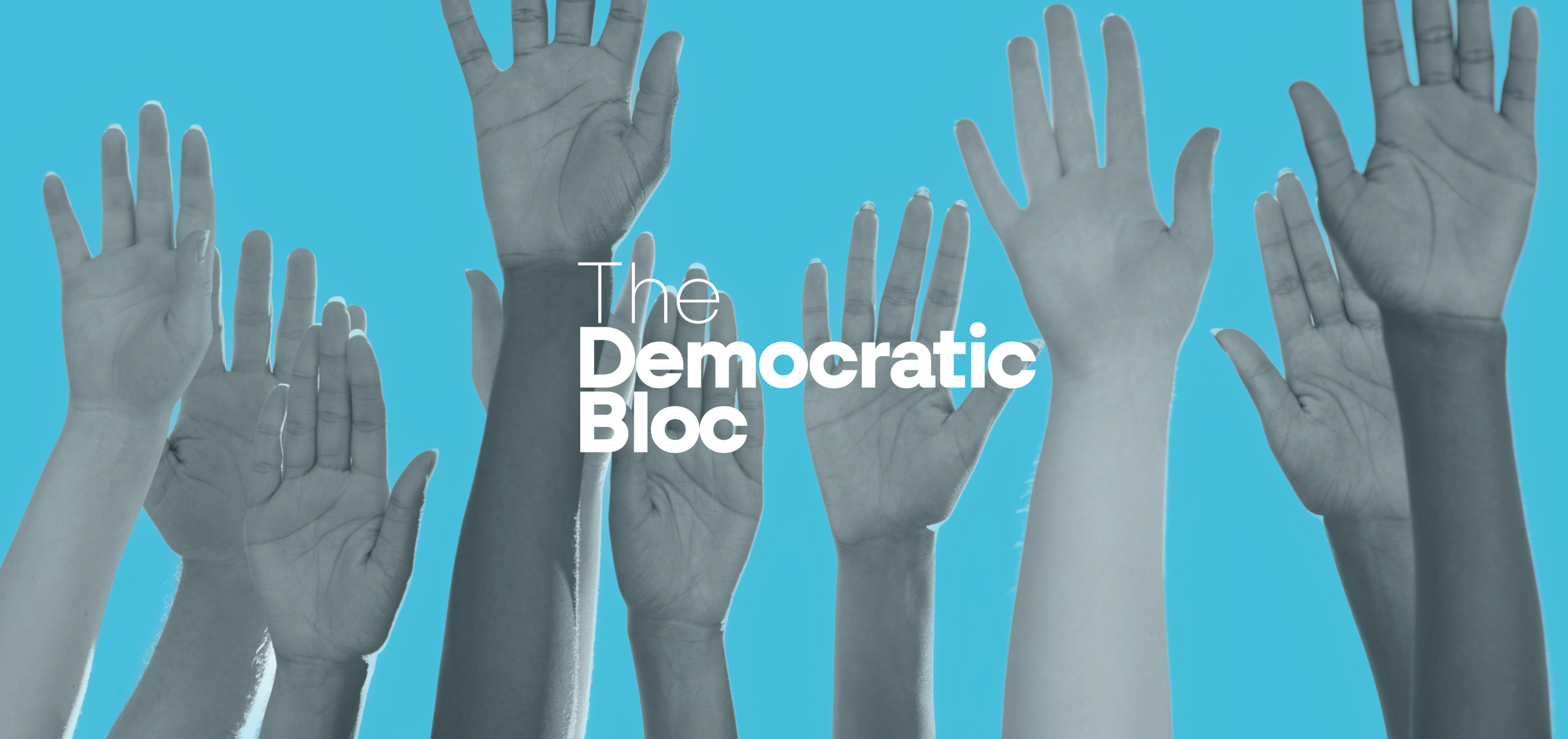 Help build The Democratic Bloc campaign photo, 2 of 4