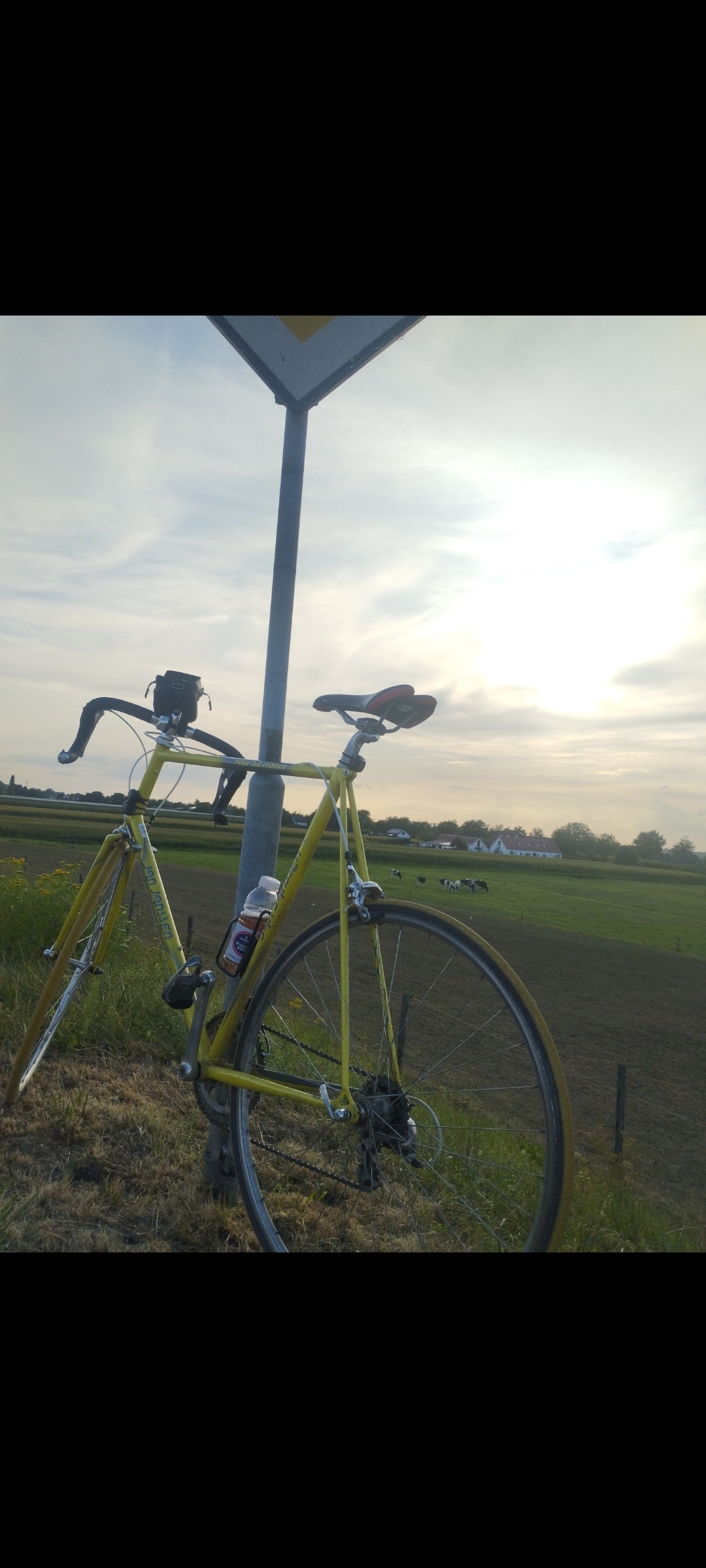 From Flatlands to Fado campaign photo, 6 of 7