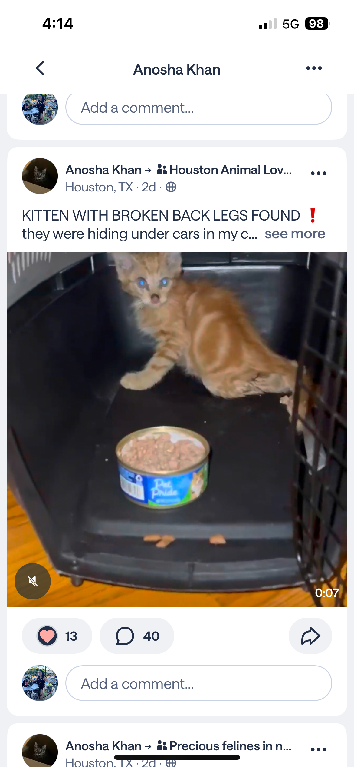 Save a Paralyzed Kitten: Donate for Vet Bills campaign photo, 6 of 7