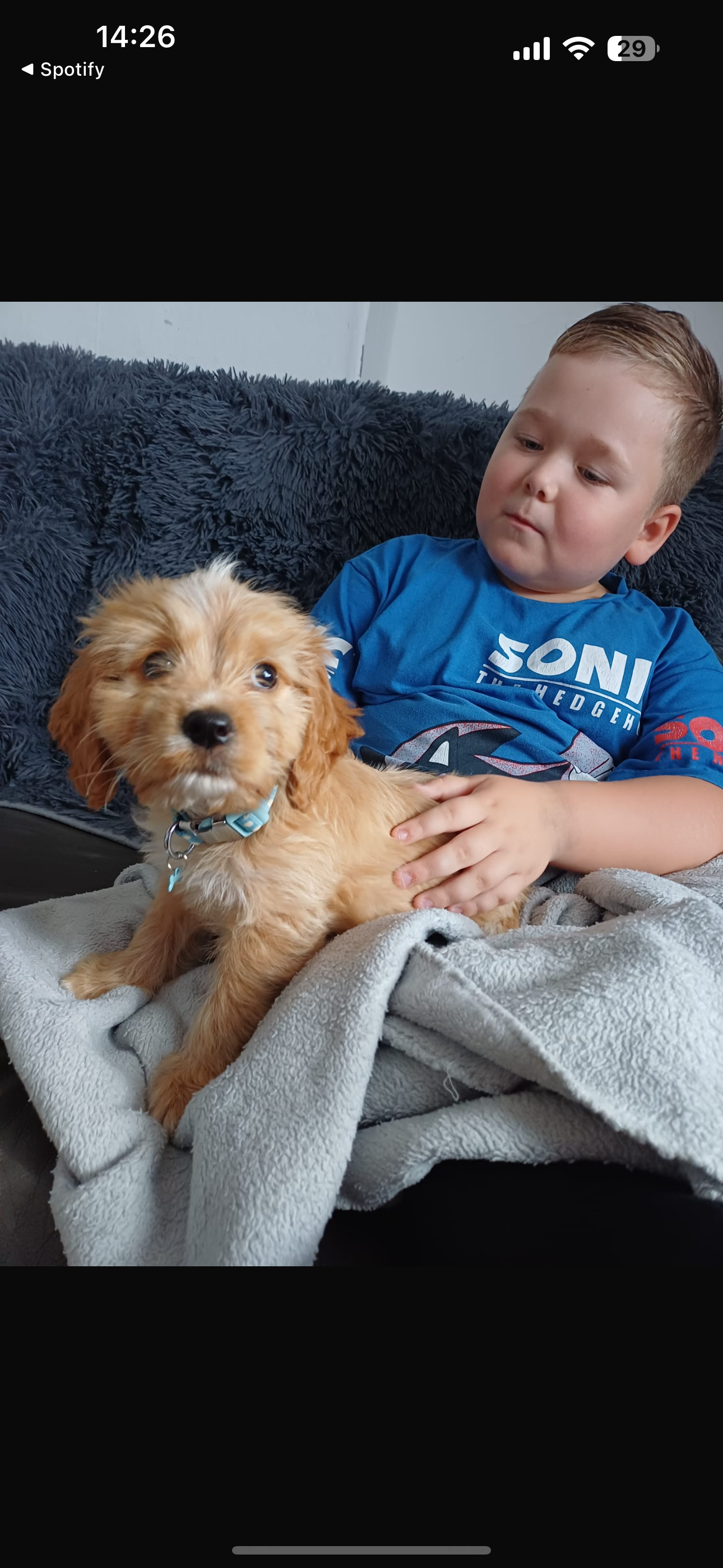 Help Max get life-saving heart surgery campaign photo, 4 of 8
