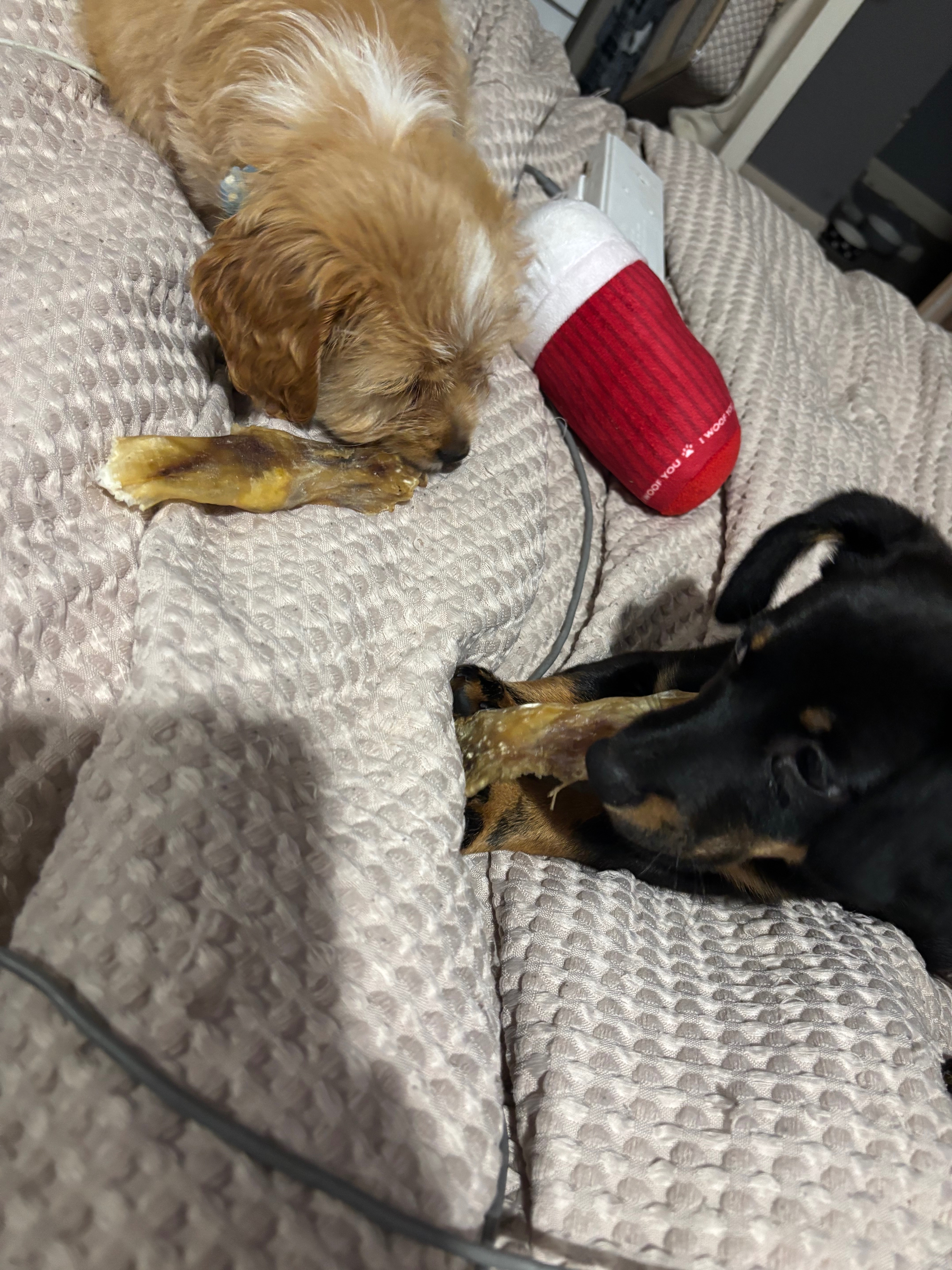 Help Max get life-saving heart surgery campaign photo, 6 of 8