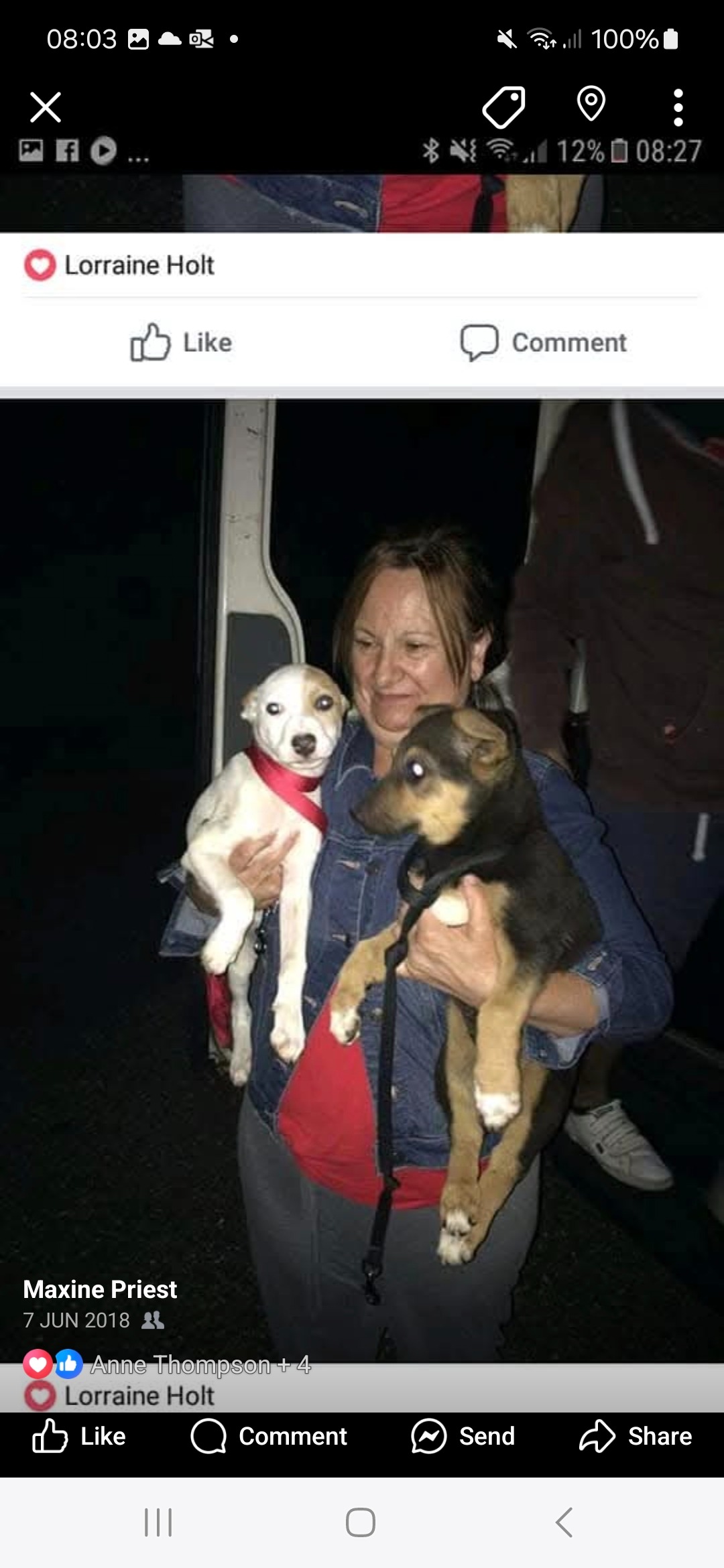 Maxines rescued cats and kittens campaign photo, 2 of 8