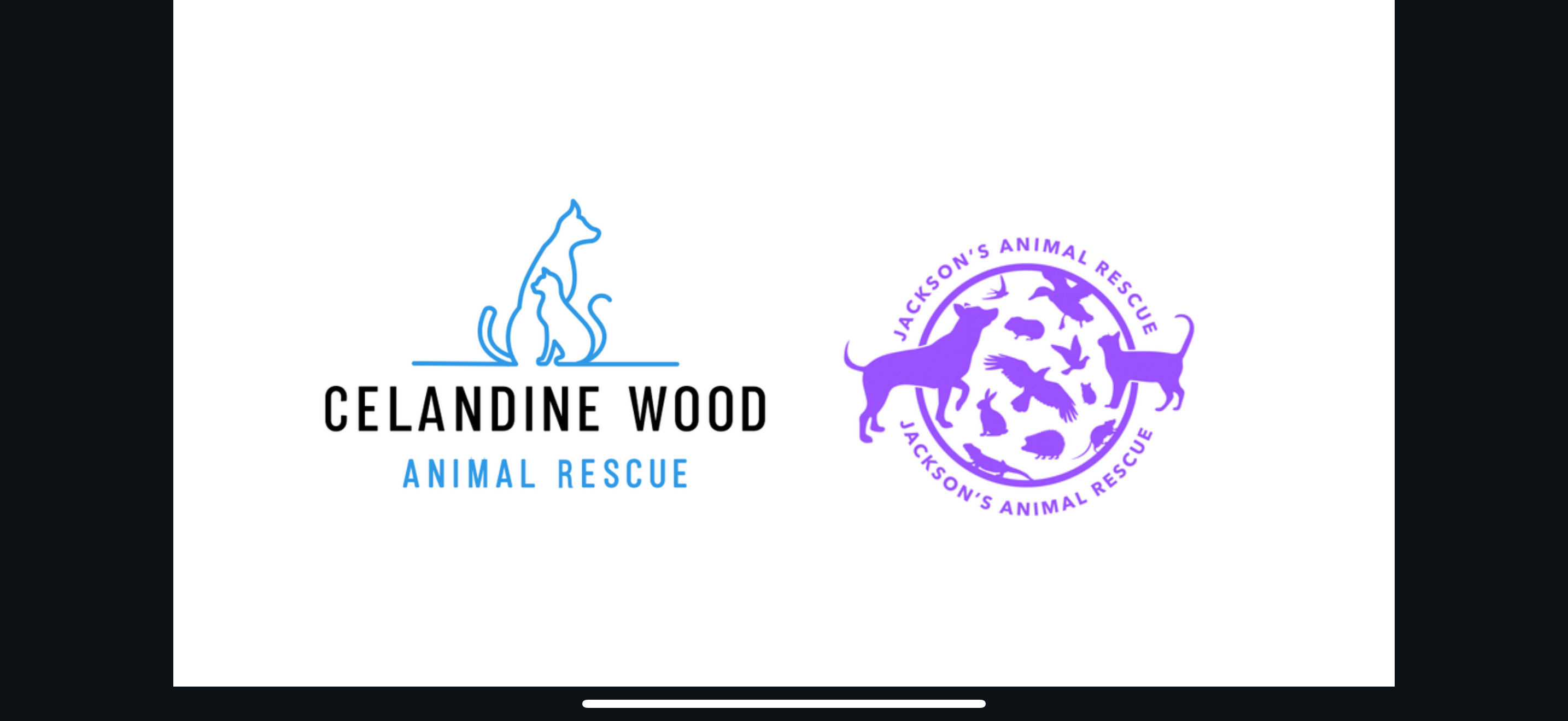 Celandine Wood & Jackson’s Animal Rescue campaign photo, 2 of 4