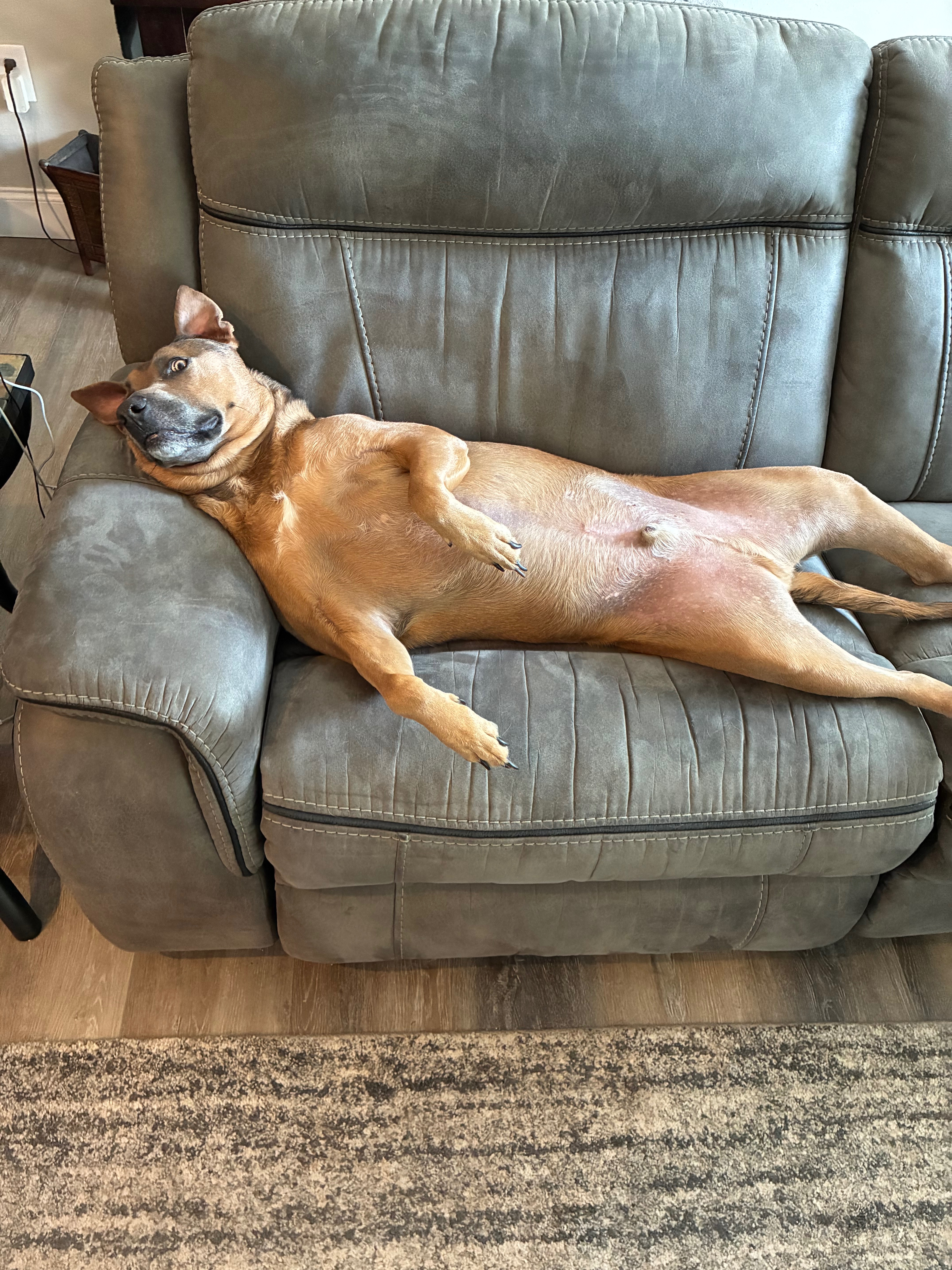 Help Hugo Recover and Get Back to Play campaign photo, 6 of 8