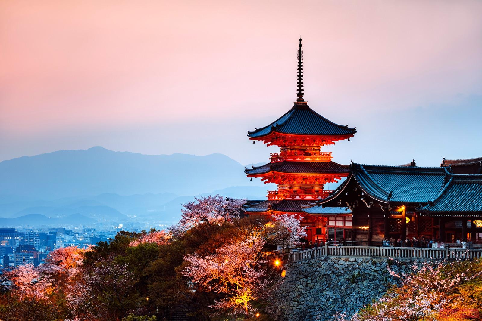 Help Autumn Achieve Her Academic Dreams in Kyoto campaign photo, 4 of 5