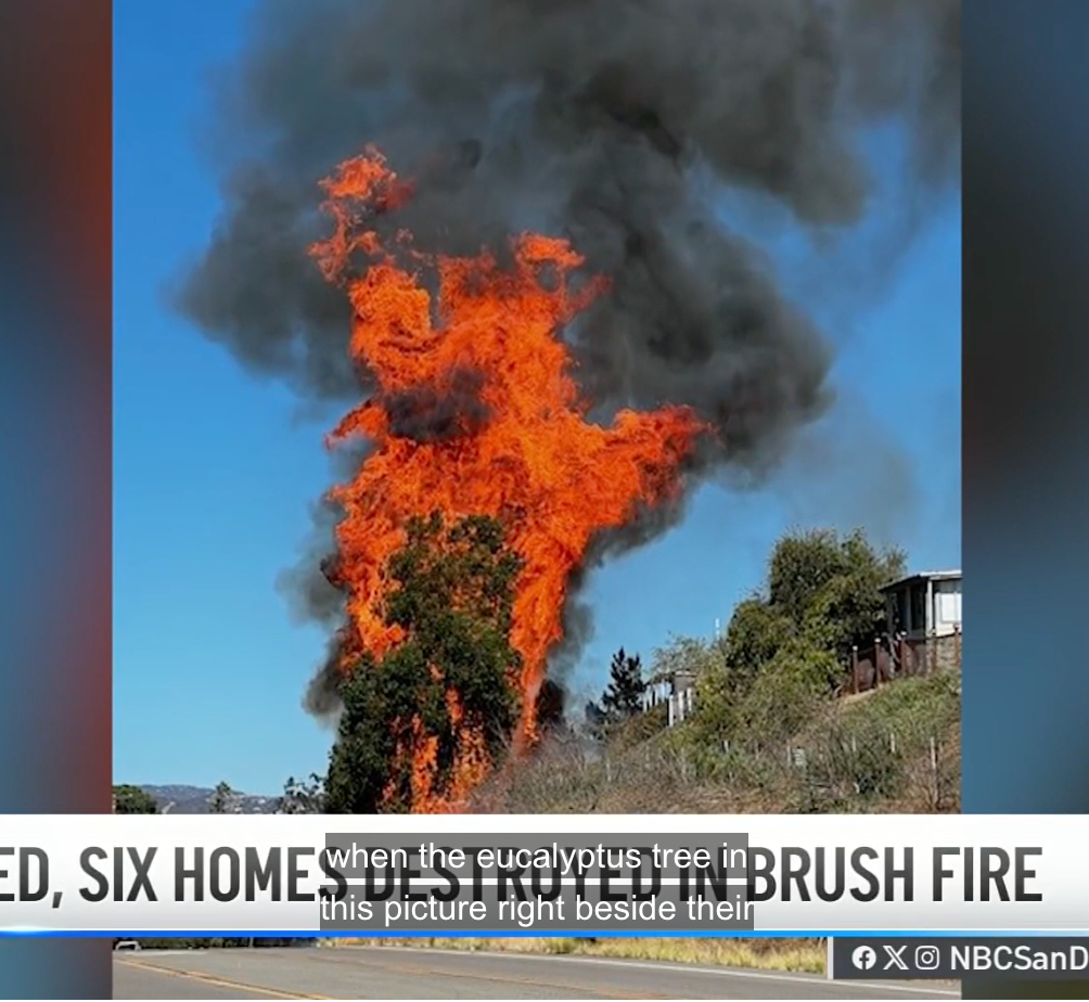 User-uploaded image 1