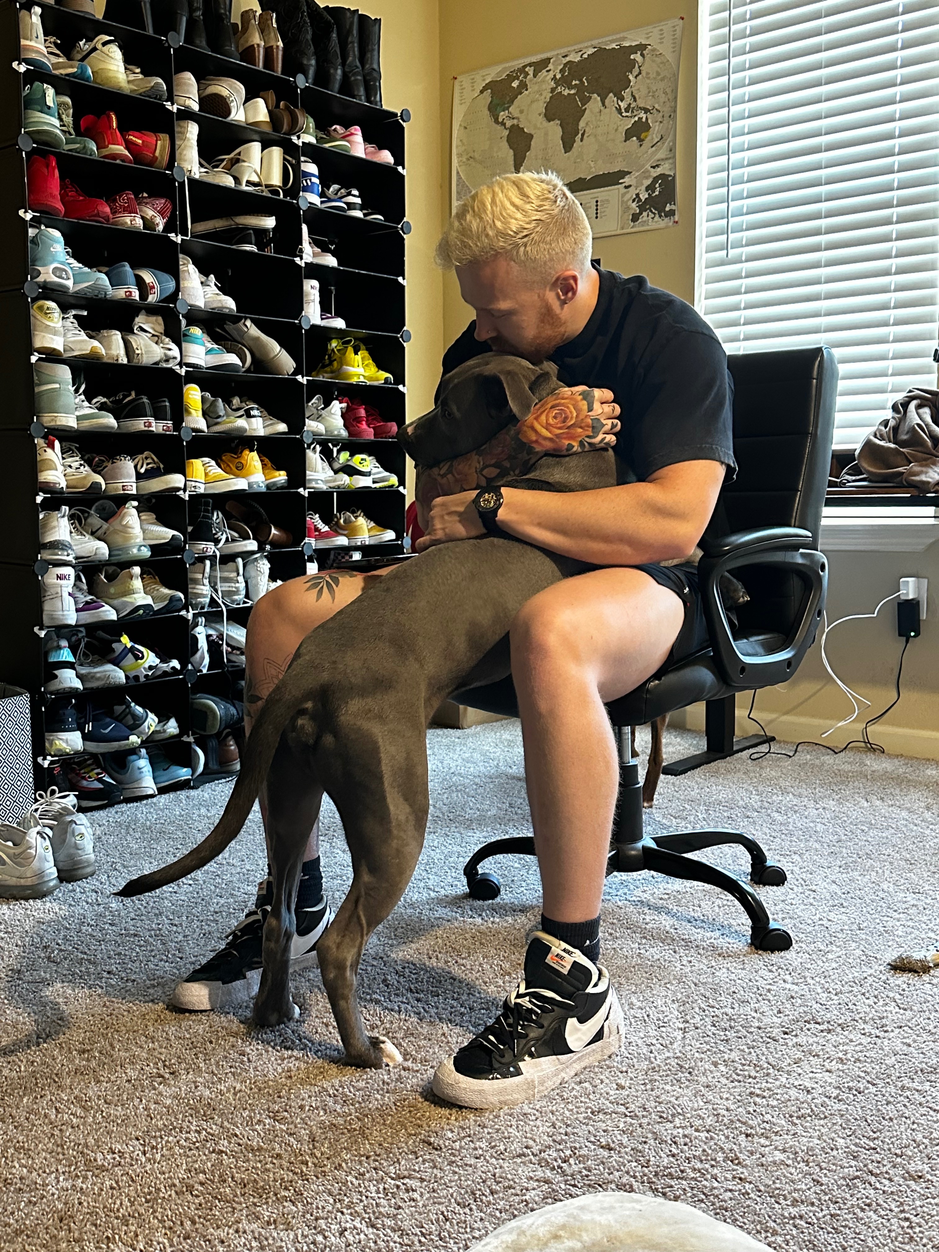 Help Dallas Pets Find Loving Homes campaign photo, 2 of 6