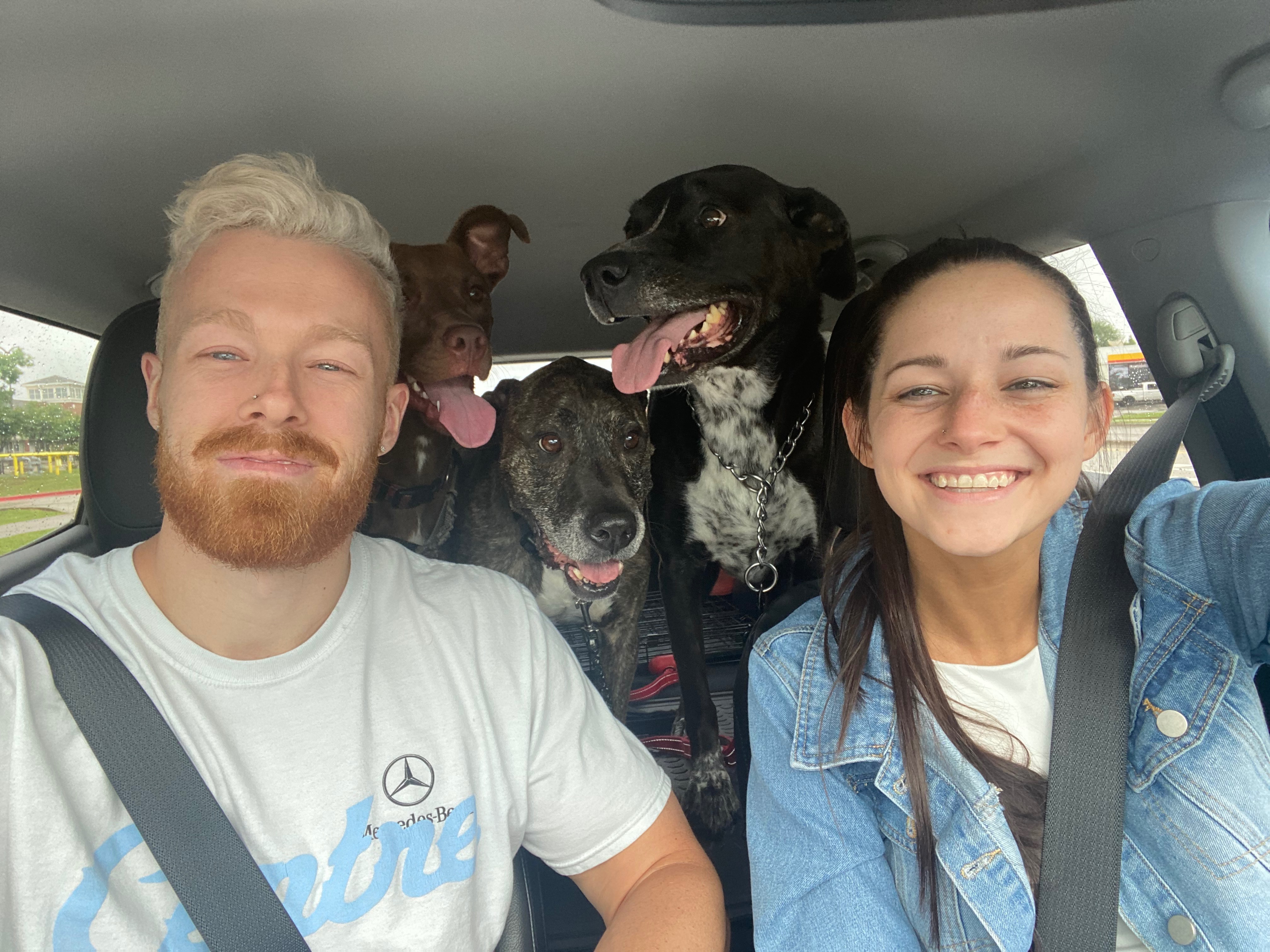 Help Dallas Pets Find Loving Homes campaign photo, 4 of 6