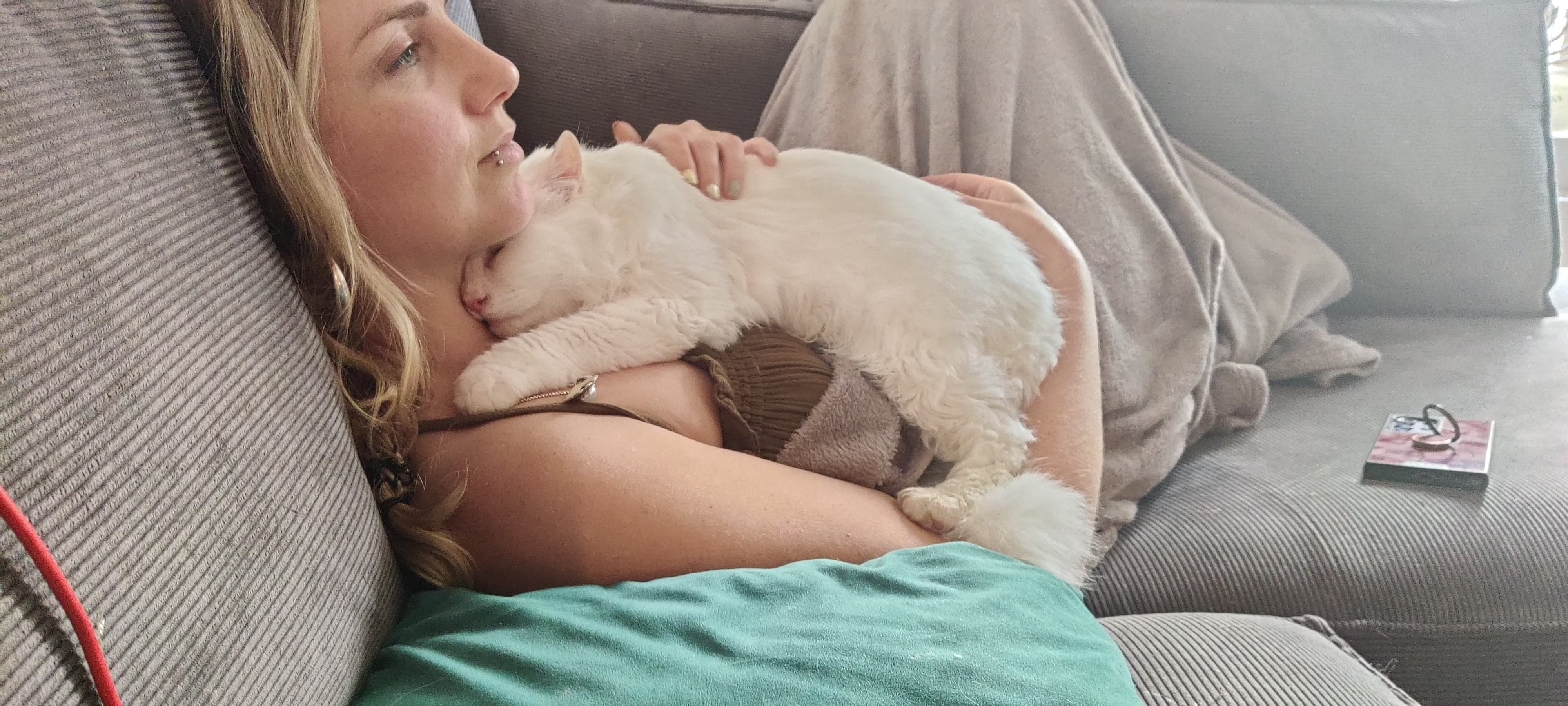 User-uploaded image 1