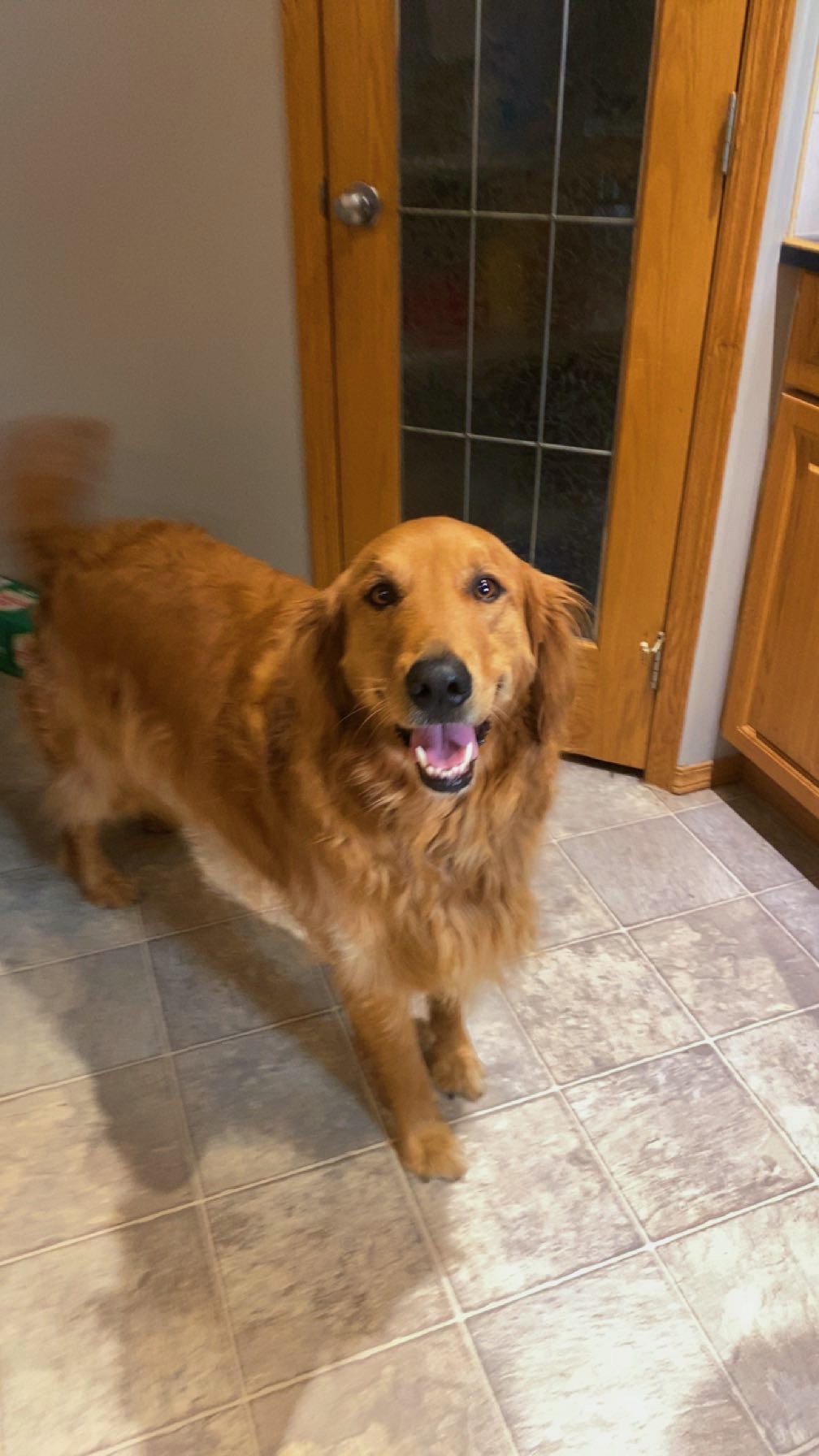 Help Cooper Allen with his acl surgery campaign photo, 7 of 8