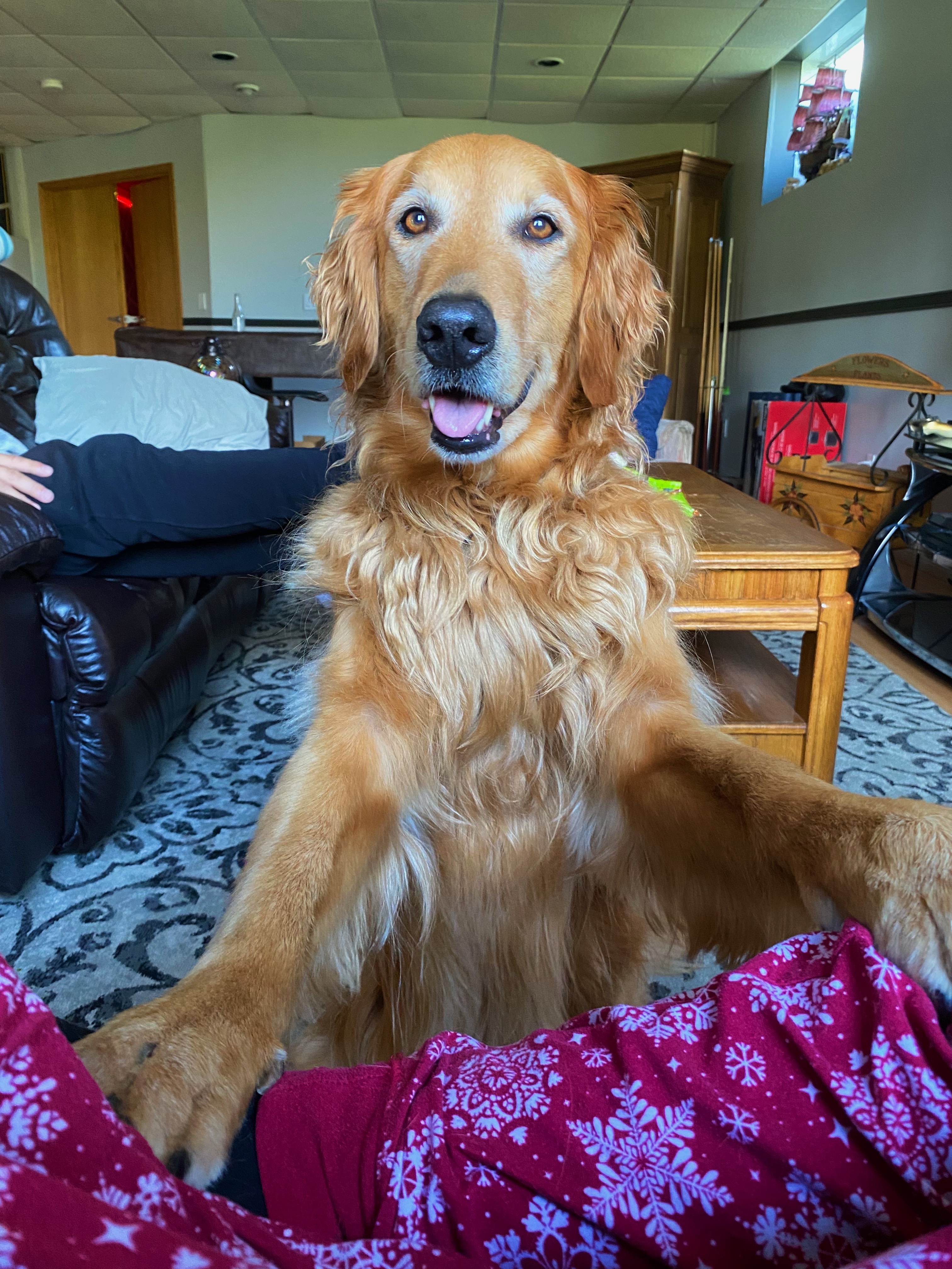 Help Cooper Allen with his acl surgery campaign photo, 5 of 8
