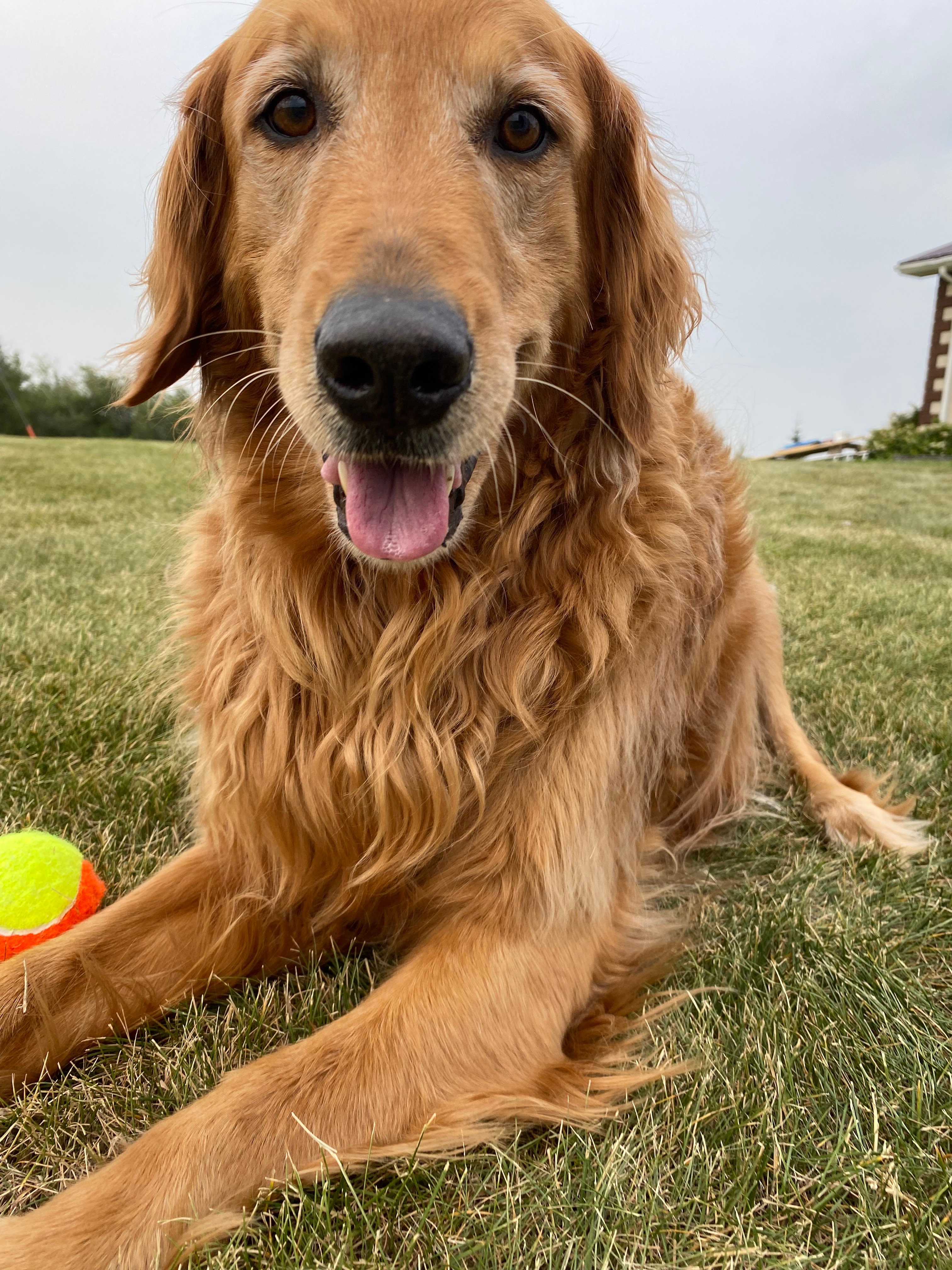 Help Cooper Allen with his acl surgery campaign photo, 6 of 8