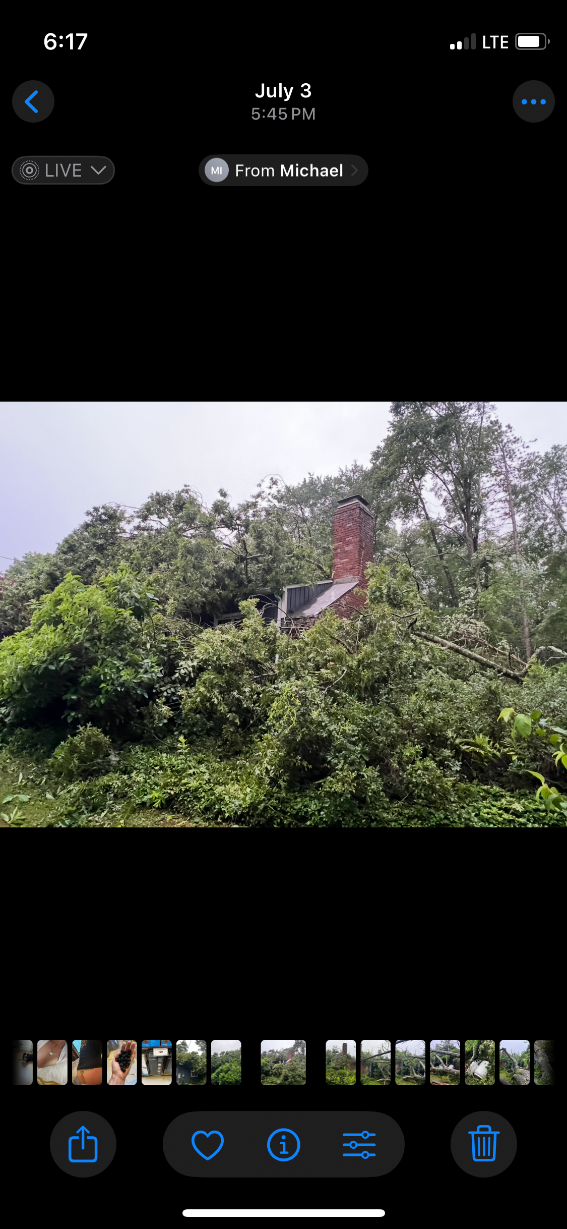 Help! A tree fell on Leila’s house!! campaign photo, 7 of 8