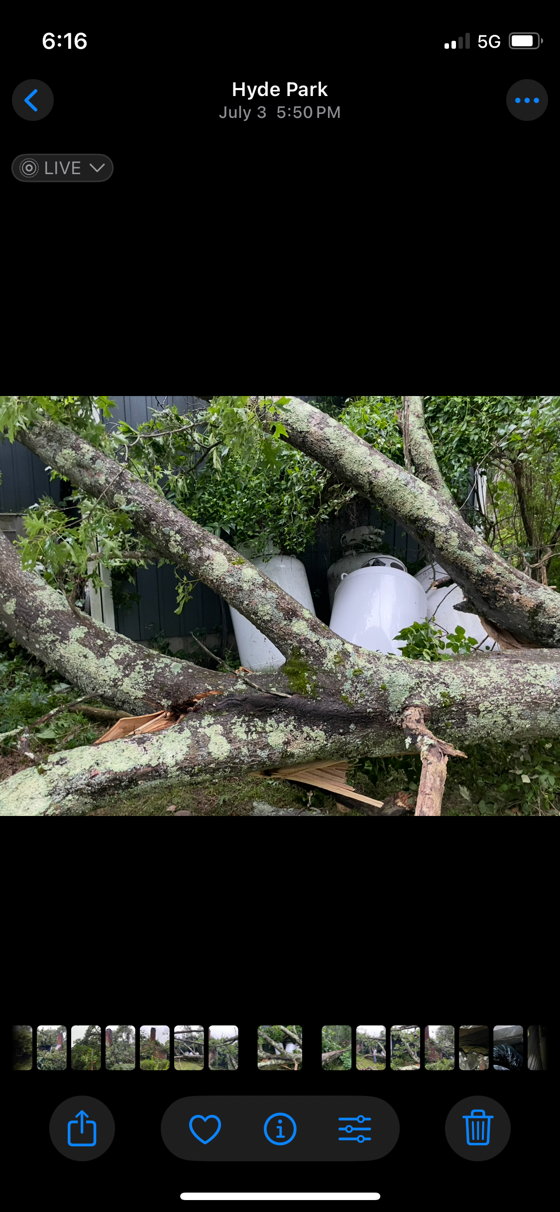 Help! A tree fell on Leila’s house!! campaign photo, 2 of 8