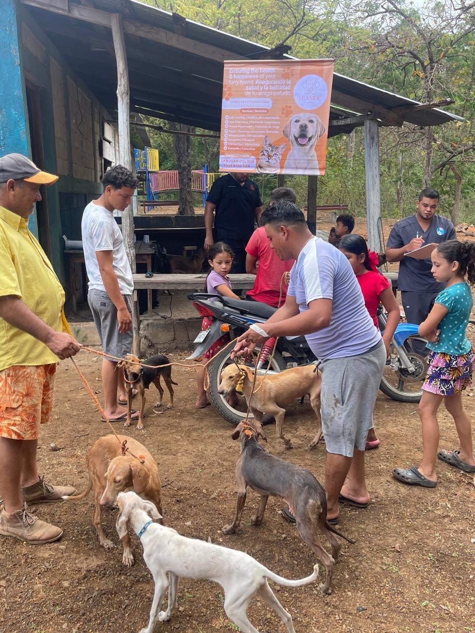 Seaside Clinica Veterinaria, Critical Clinic Upgrades Needed campaign photo, 4 of 8