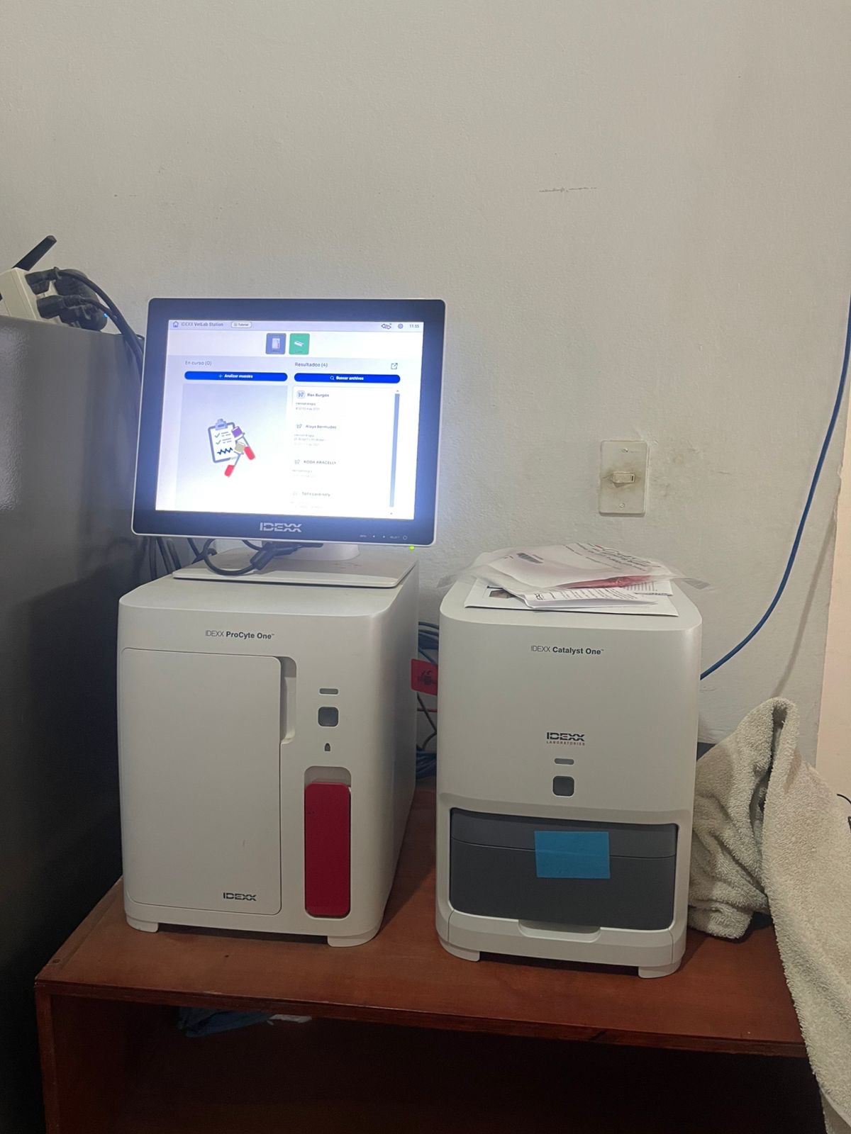 Seaside Clinica Veterinaria, Critical Clinic Upgrades Needed campaign photo, 5 of 8