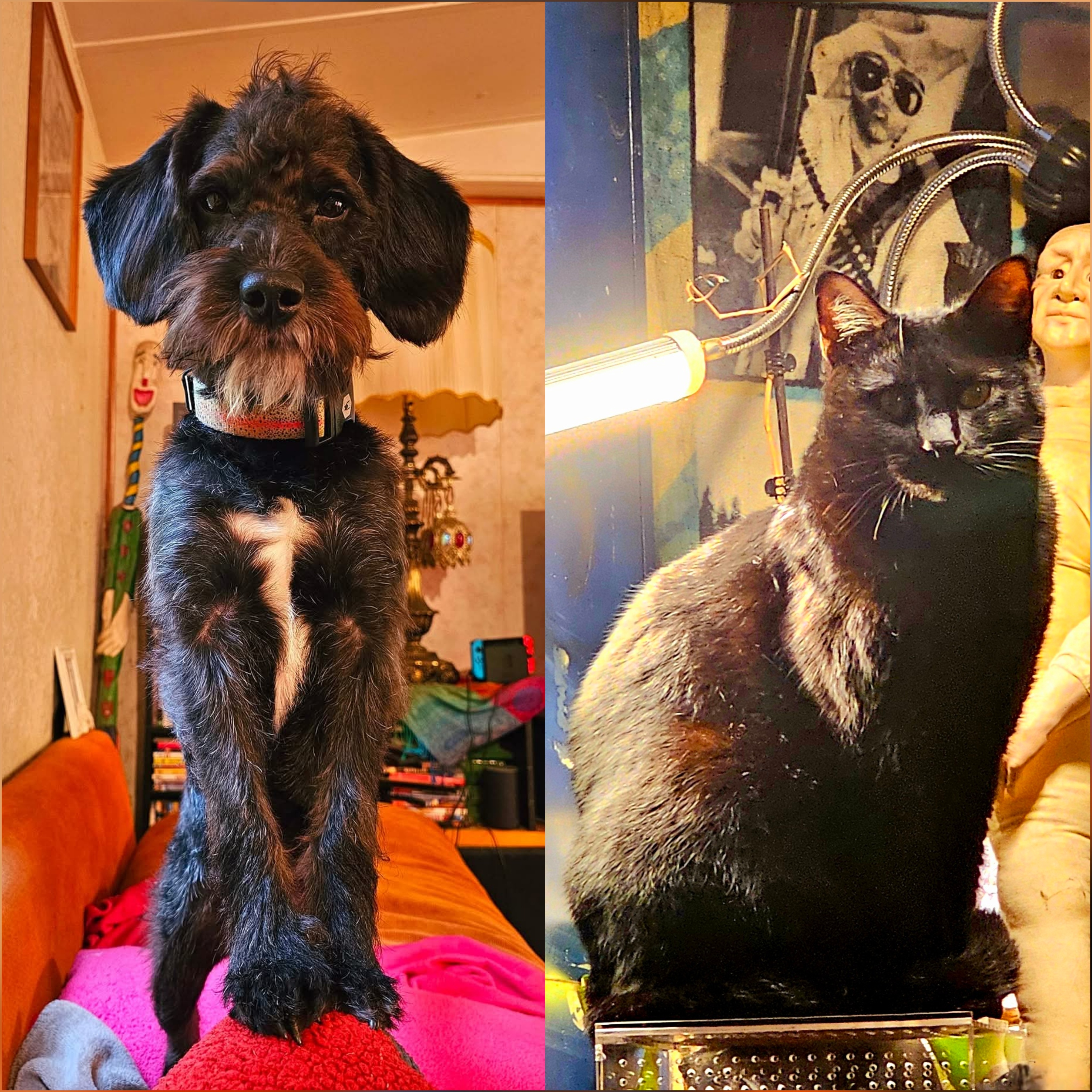Donate to Rebuild Emily, Lalo, and Banks' Lives campaign photo, 5 of 7