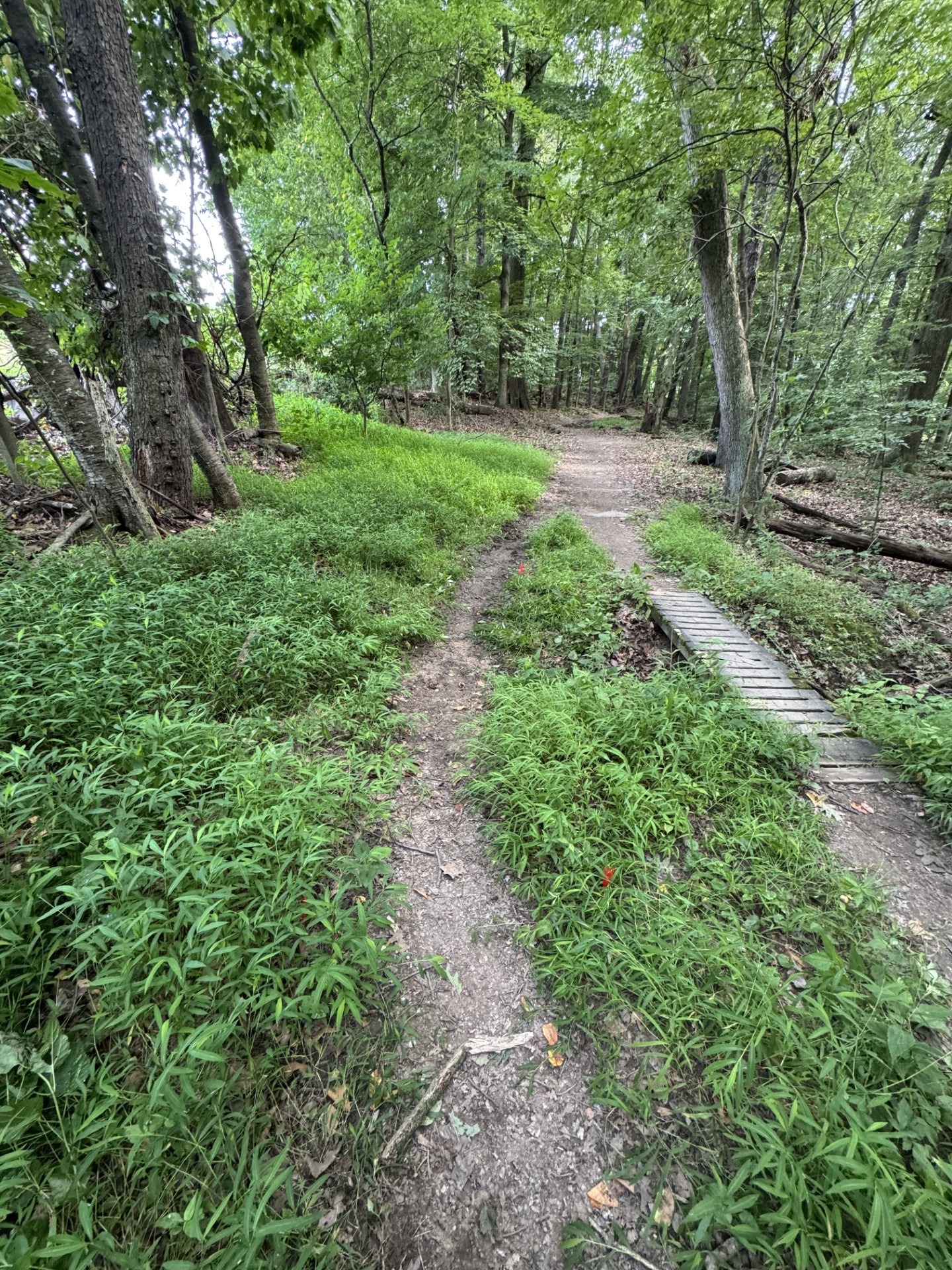Support Connor Behr's Eagle Scout Project campaign photo, 5 of 8