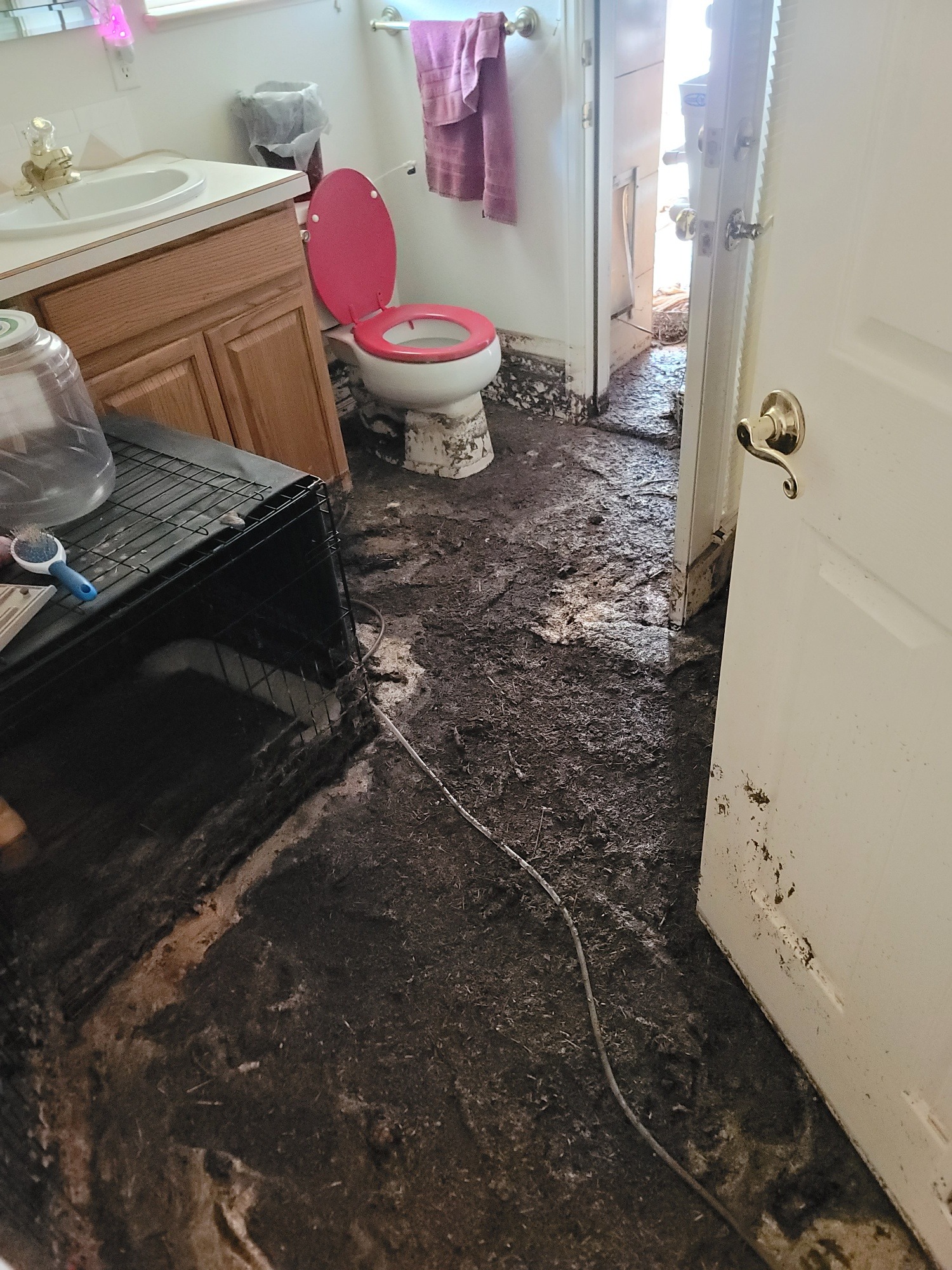 Support Parents After Devastating Flood campaign photo, 2 of 8