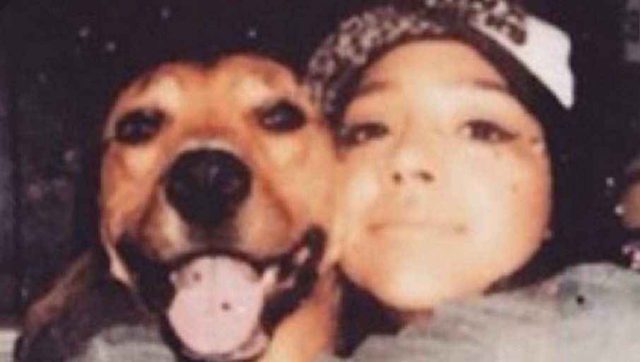 Help Rocky Through His Journey photo