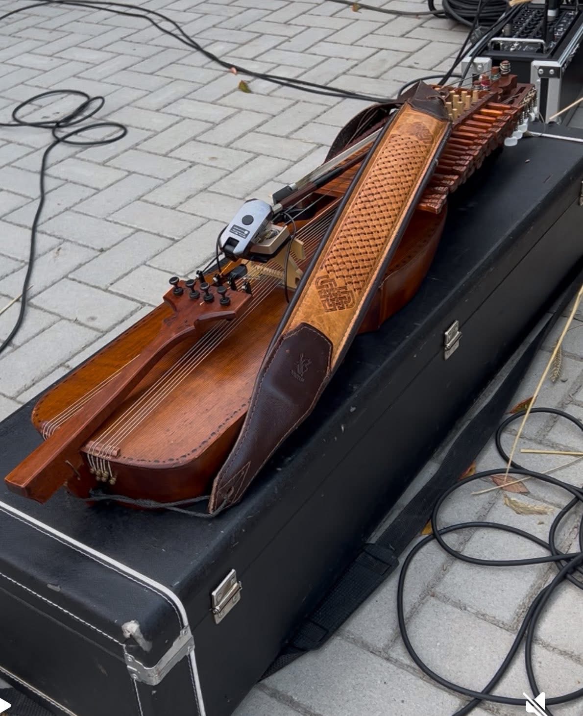 Hilfe für Flo - Nyckelharpa gestohlen! campaign photo, 4 of 5