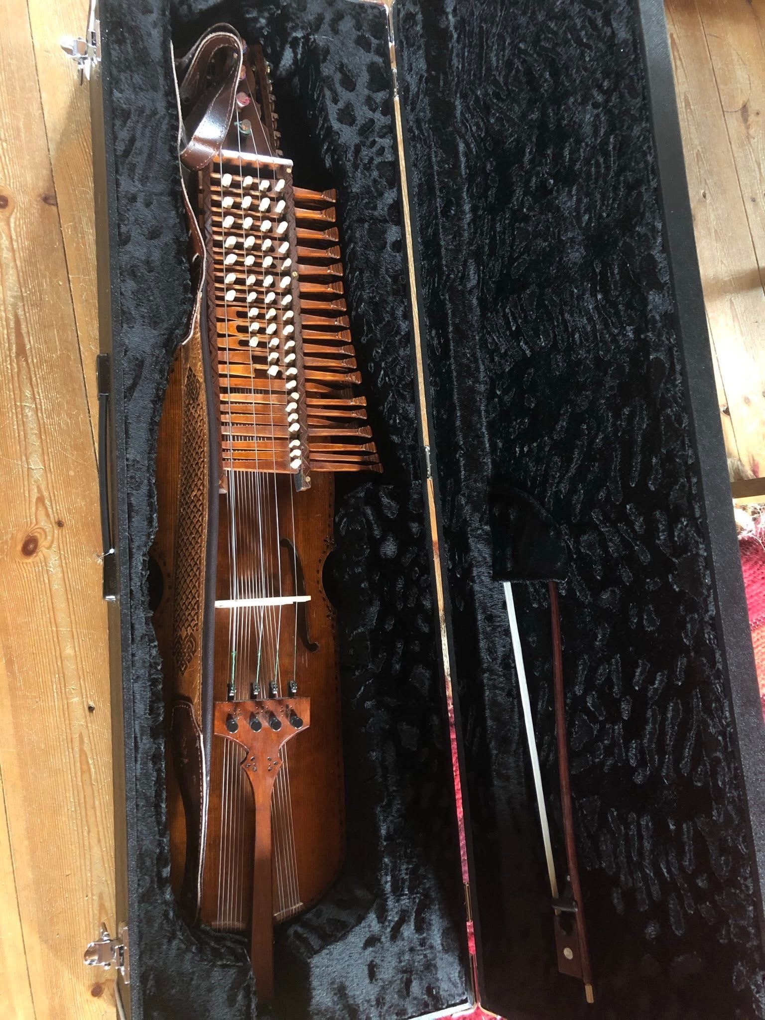 Hilfe für Flo - Nyckelharpa gestohlen! campaign photo, 2 of 5