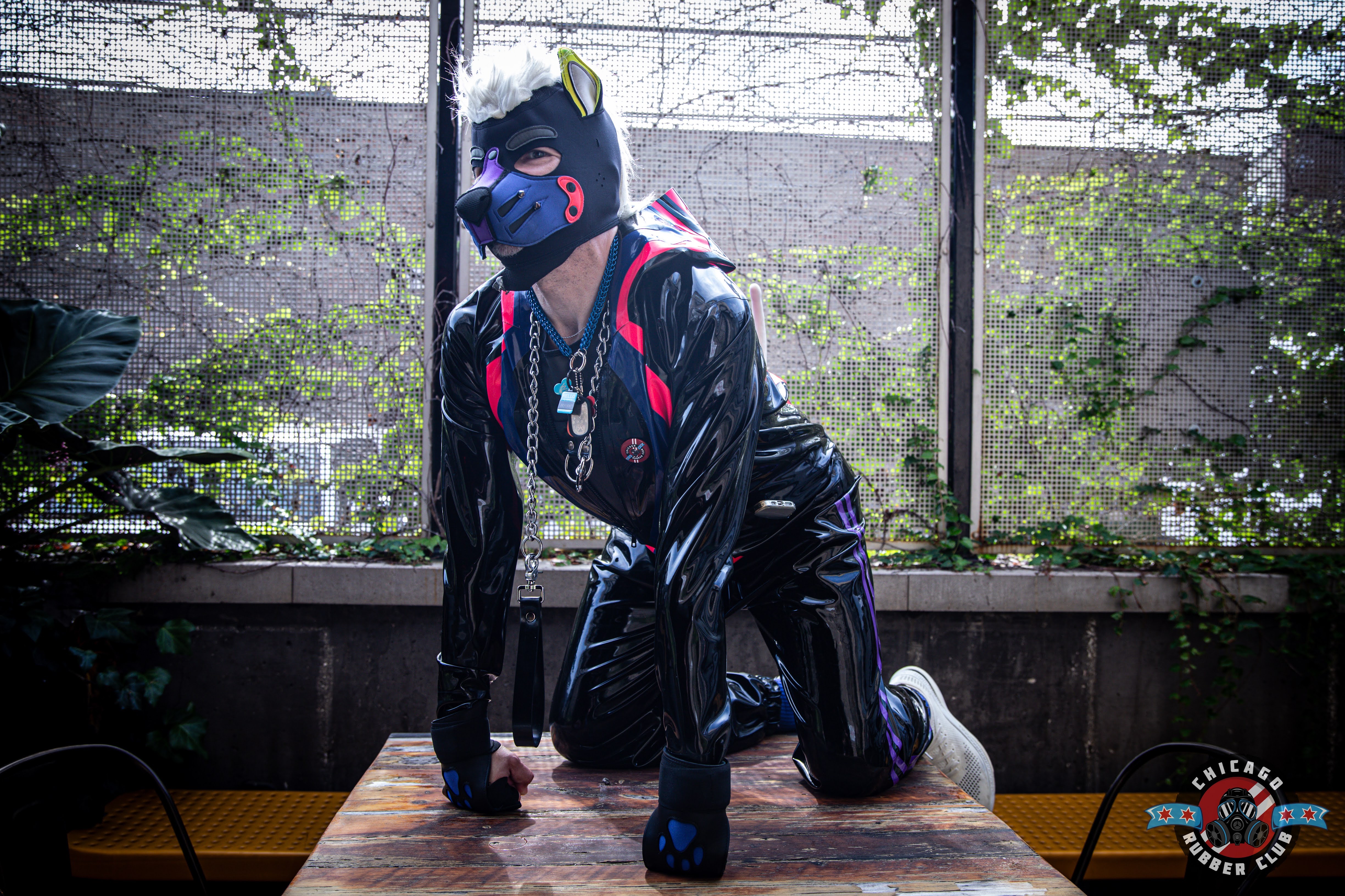 PUP✶DEFIANT: A Battle to Secure Health and Stability campaign photo, 5 of 8