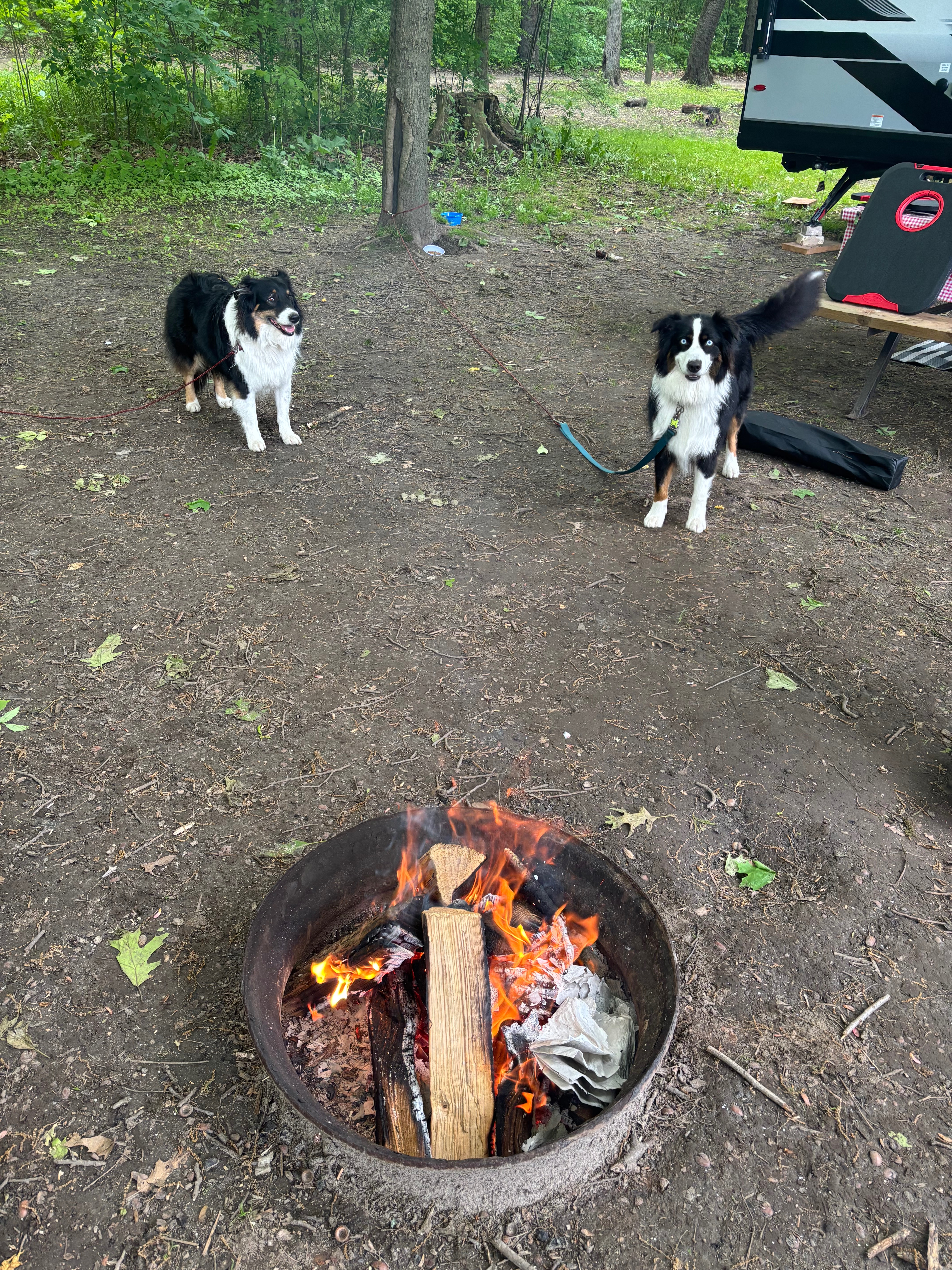 Blaze recovery campaign photo, 5 of 7