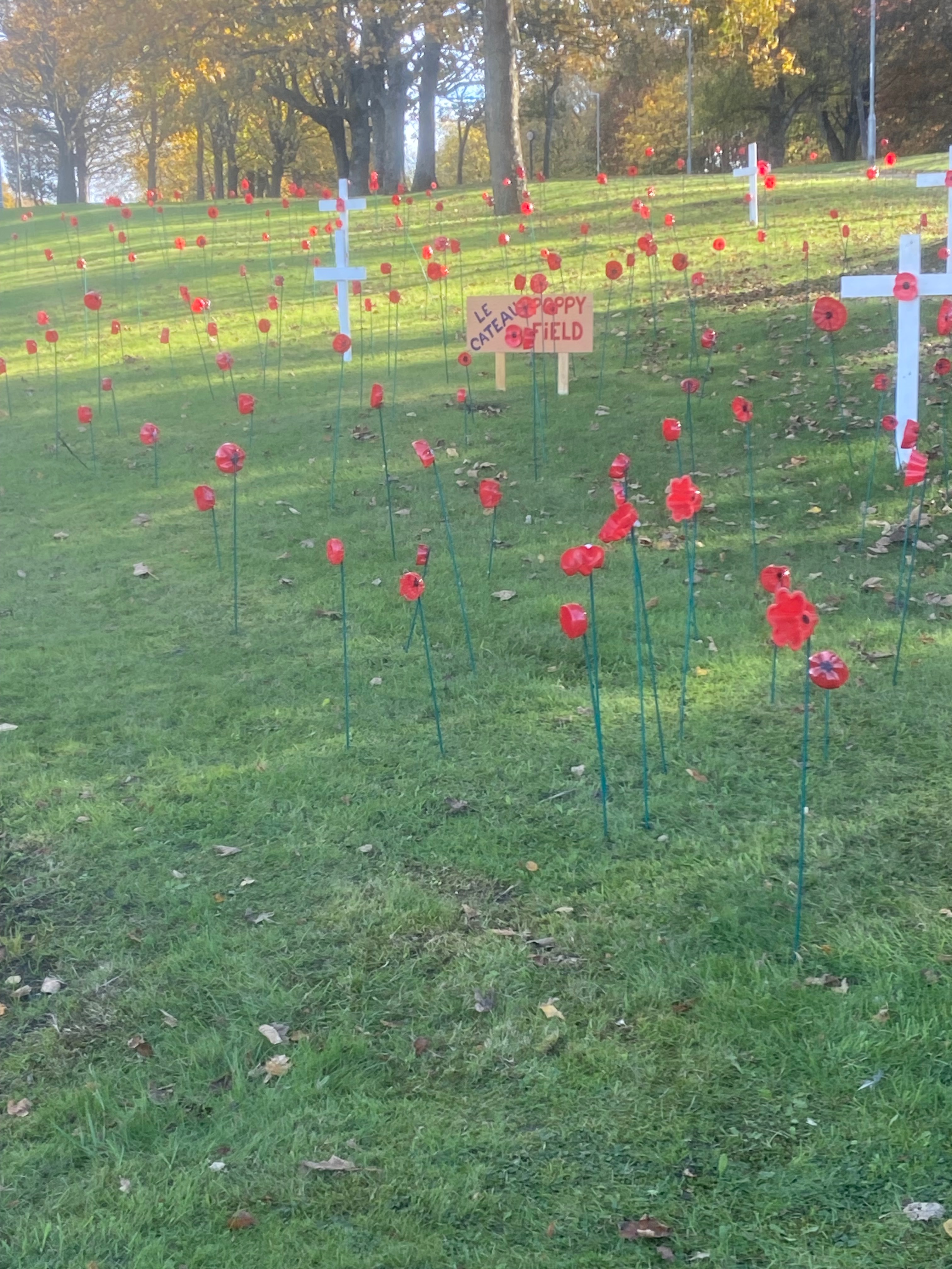 Catterick Remembrance Display campaign photo, 4 of 7