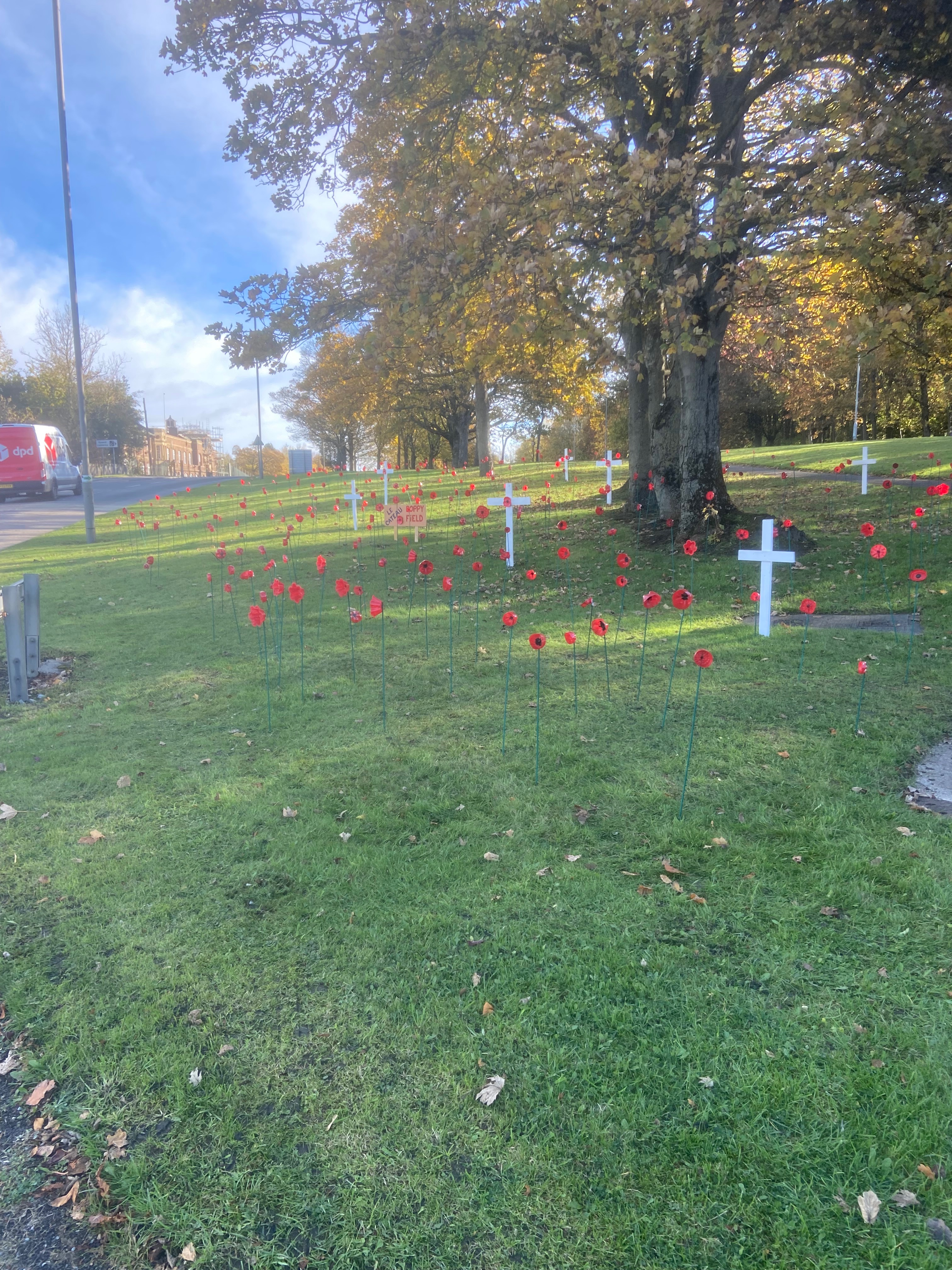 Catterick Remembrance Display campaign photo, 5 of 7