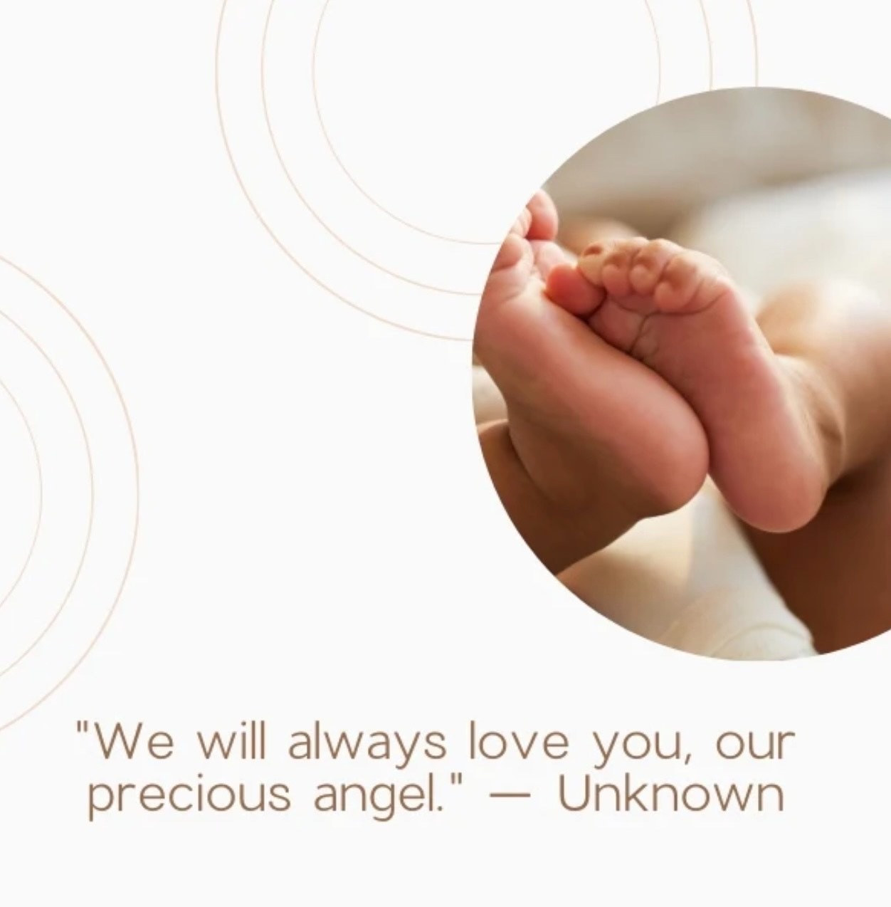 Celebrating The Life of Baby Miracle campaign photo, 4 of 5