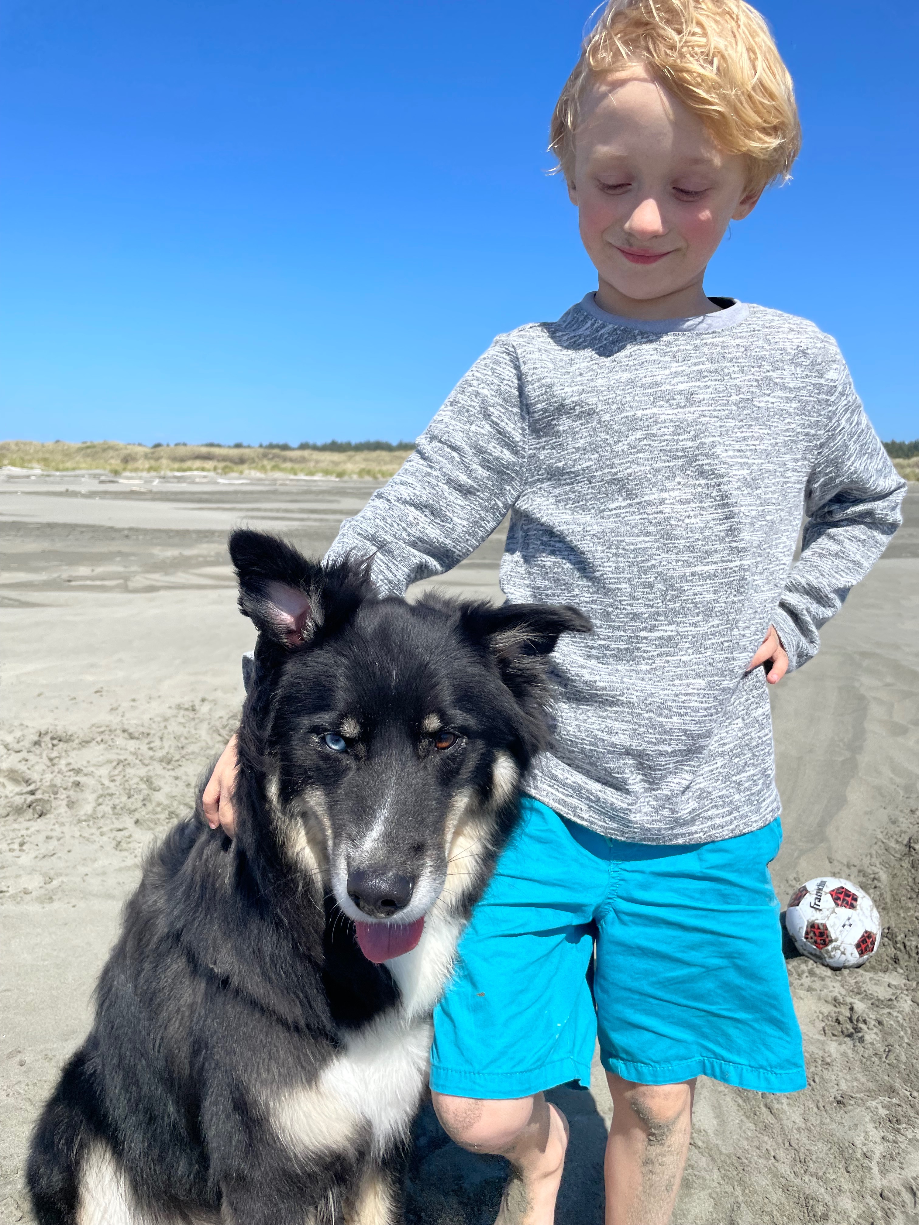 Save R2D2: Gus's Beloved Adventure Dog Needs You campaign photo, 2 of 8