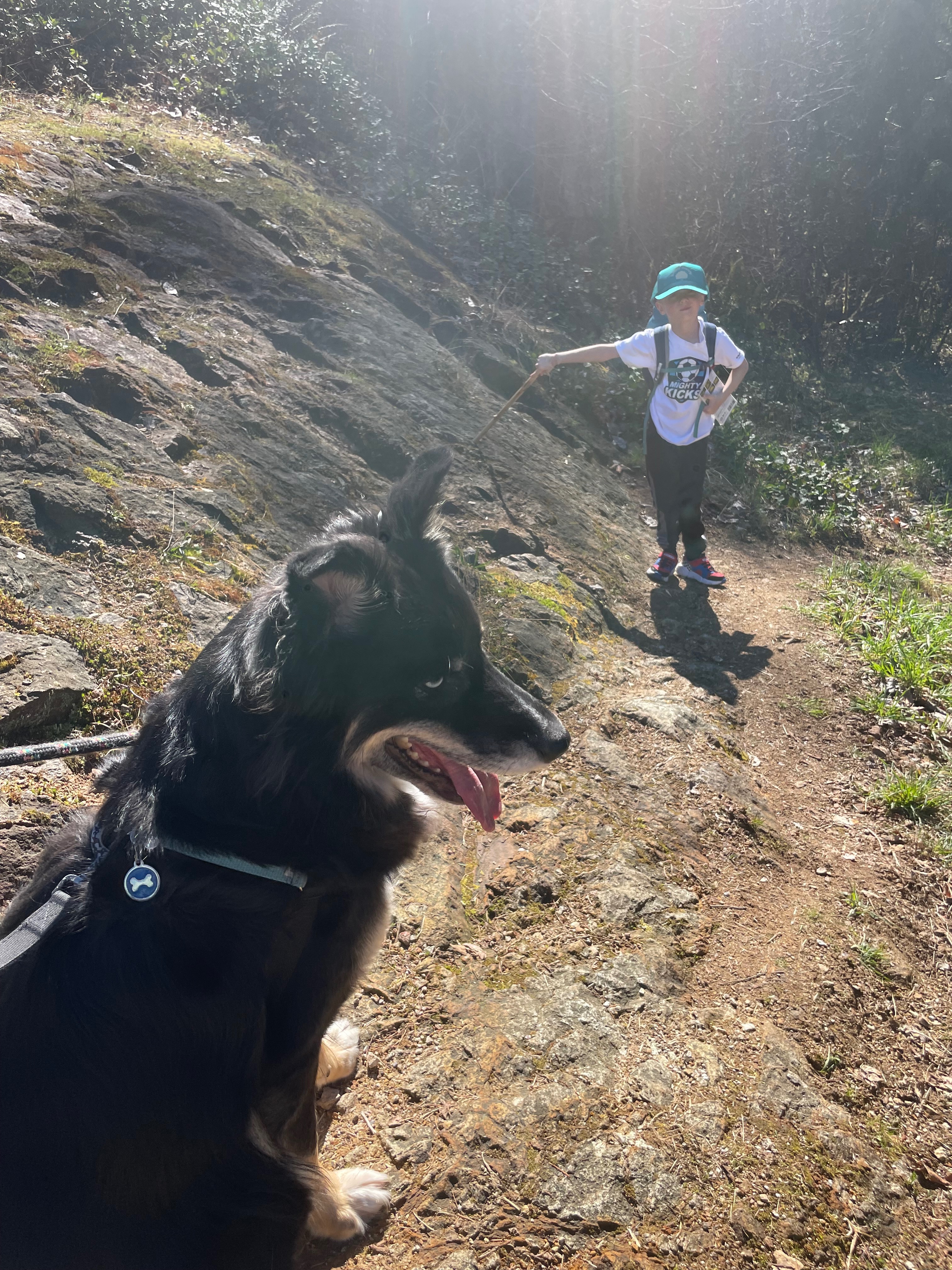Save R2D2: Gus's Beloved Adventure Dog Needs You campaign photo, 4 of 8