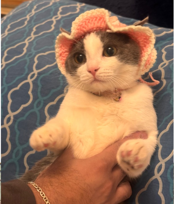 From Playful to Paralysis – Help Minku Live Again campaign photo, 6 of 7