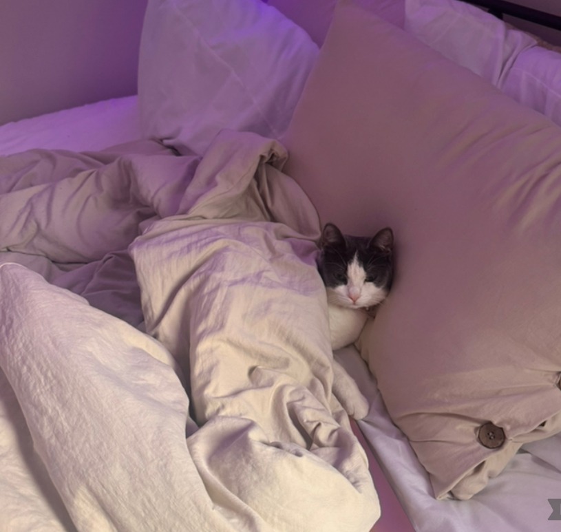 From Playful to Paralysis – Help Minku Live Again campaign photo, 2 of 7